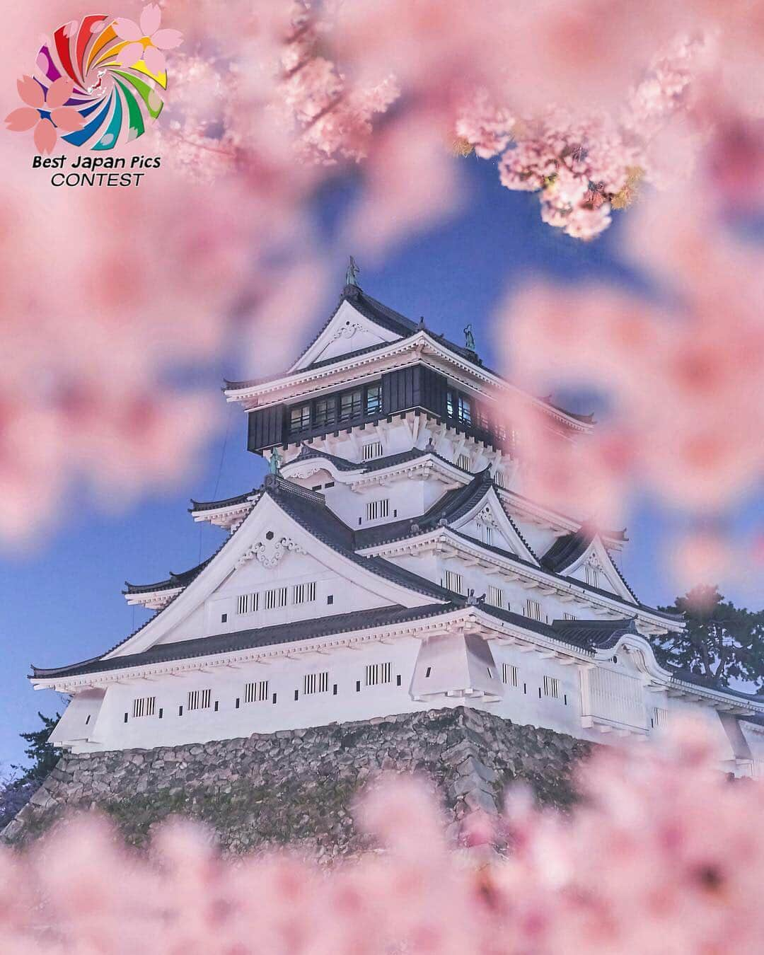 Follow & use #bestjapanpicsさんのインスタグラム写真 - (Follow & use #bestjapanpicsInstagram)「🌸2019年桜 一部🌸 . @bestjapanpics_  selection . 👑CONGRATS to @hidechan226 👑 おめでとうございます🎉🎉 素晴らしい桜のお写真でご参加頂きありがとうございました✨✨ . #bestjapanpics_桜2019一部 . 📷 chosen by  @yurie.0101 (Mod) FOUNDER: @quelmarietto LOCALITY: 福岡県 CATEGORY: #桜 #城 #小倉城 . . . •follow us @bestjapanpics_ . •use #bestjapanpics . 撮影地の都道府県をキャプション・コメントタグ・ジオタグのいずれかに入れて下さい。 . @bestjapanpics_ では、日本で撮られた素敵なお写真へのタグ付けをお待ちしています✨ . Select the amazing photos every day. ダグ付けをして頂いた中から、毎日素晴らしい写真を選出させていただきます👑 . . #JAPAN #日本 #風景 #夕焼け #夜景 #海 #自然 #モノクロ #ポートレート . #art_of_japan_ #as_archive #daily_photo_jpn #icu_japan #jp_gallery #kids_japan #phos_japan #picture_to_keep #ray_moment #s_shot #kf_gallery」4月17日 20時54分 - bestjapanpics_