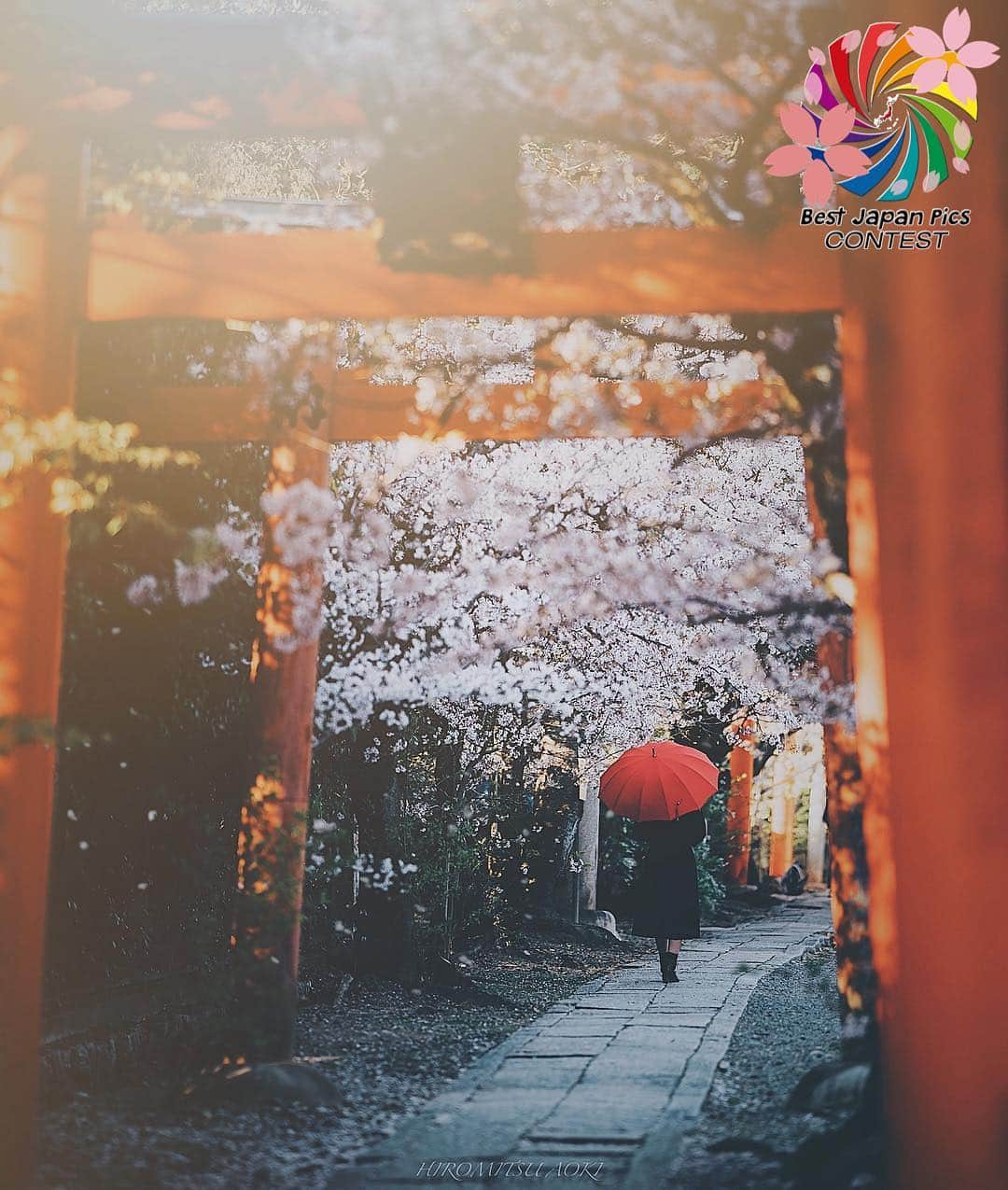 Follow & use #bestjapanpicsさんのインスタグラム写真 - (Follow & use #bestjapanpicsInstagram)「🌸2019年桜 一部🌸 . @bestjapanpics_  selection . 👑CONGRATS to @hiromitsu_aoki 👑 おめでとうございます🎉🎉 素晴らしい桜のお写真でご参加頂きありがとうございました✨✨ . #bestjapanpics_桜2019一部 . 📷 chosen by @ms_k_sk (Mod) FOUNDER: @quelmarietto LOCALITY: 京都府 CATEGORY: #桜 #鳥居 #ポートレート #傘 . . . •follow us @bestjapanpics_ . •use #bestjapanpics . 撮影地の都道府県をキャプション・コメントタグ・ジオタグのいずれかに入れて下さい。 . @bestjapanpics_ では、日本で撮られた素敵なお写真へのタグ付けをお待ちしています✨ . Select the amazing photos every day. ダグ付けをして頂いた中から、毎日素晴らしい写真を選出させていただきます👑 . . #JAPAN #日本 #風景 #夕焼け #夜景 #海 #自然 #モノクロ #ポートレート . #art_of_japan_ #as_archive #daily_photo_jpn #icu_japan #jp_gallery #kids_japan #phos_japan #picture_to_keep #ray_moment #s_shot #kf_gallery」4月17日 20時55分 - bestjapanpics_