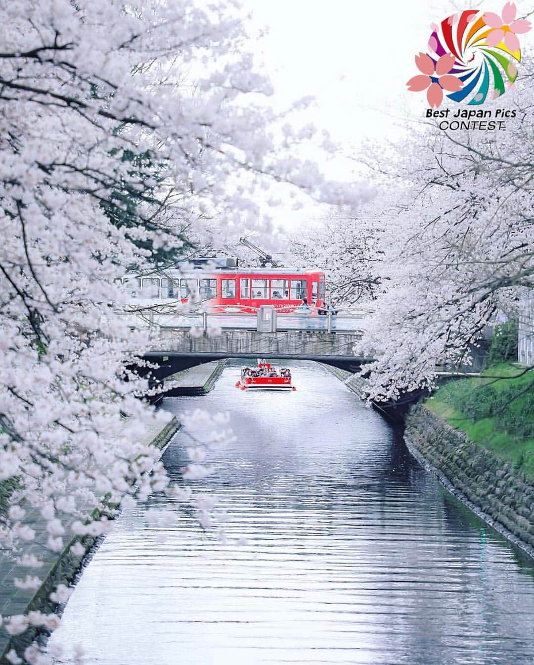 Follow & use #bestjapanpicsさんのインスタグラム写真 - (Follow & use #bestjapanpicsInstagram)「🌸2019年桜 一部🌸 . @bestjapanpics_  selection . 👑CONGRATS to @hinafollet 👑 おめでとうございます🎉🎉 素晴らしい桜のお写真でご参加頂きありがとうございました✨✨ . #bestjapanpics_桜2019一部 . 📷 chosen by  @_nao_photography (Admin) FOUNDER: @quelmarietto LOCALITY: 富山県 CATEGORY: #桜 #電車 #遊覧船 . . •follow us @bestjapanpics_ . •use #bestjapanpics . 撮影地の都道府県をキャプション・コメントタグ・ジオタグのいずれかに入れて下さい。 . @bestjapanpics_ では、日本で撮られた素敵なお写真へのタグ付けをお待ちしています✨ . Select the amazing photos every day. ダグ付けをして頂いた中から、毎日素晴らしい写真を選出させていただきます👑 . . #JAPAN #日本 #風景 #夕焼け #夜景 #海 #自然 #モノクロ #ポートレート . #art_of_japan_ #as_archive #daily_photo_jpn #icu_japan #jp_gallery #kids_japan #phos_japan #picture_to_keep #ray_moment #s_shot #kf_gallery」4月17日 20時56分 - bestjapanpics_