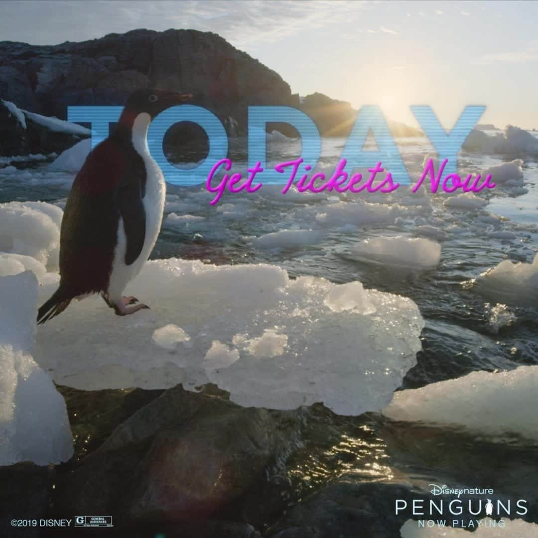 アメリカン・ブロードキャスティング・カンパニーのインスタグラム：「See #DisneynaturePenguins in theaters today! 🐧」