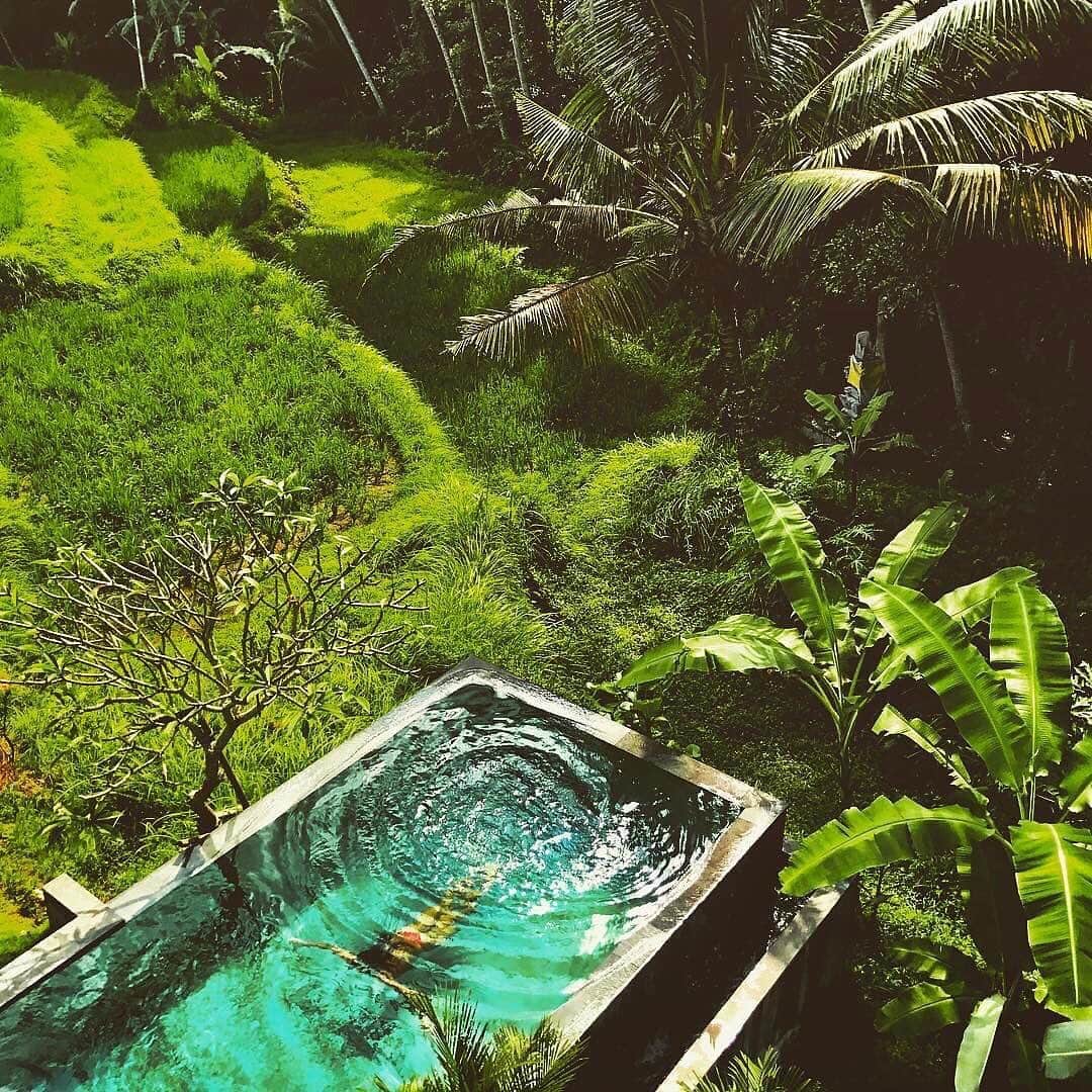Airbnbさんのインスタグラム写真 - (AirbnbInstagram)「Lost in tropical jungle, Risyiana’s loft-style villa overlooks a Balinese rice field and is a comfortable distance away from downtown Ubud. Start the day with a dip in the infinity pool, then use Risyiana’s personal guidebook to plan downtown fun. If you love to cook, the centerpiece of this modern industrial #AirbnbPlus home is a super-sized kitchen with 20ft ceilings. If you don’t, no worries—there’s a personal chef available for house visits.  Photo: @haighahouse_ubud」4月18日 6時51分 - airbnb