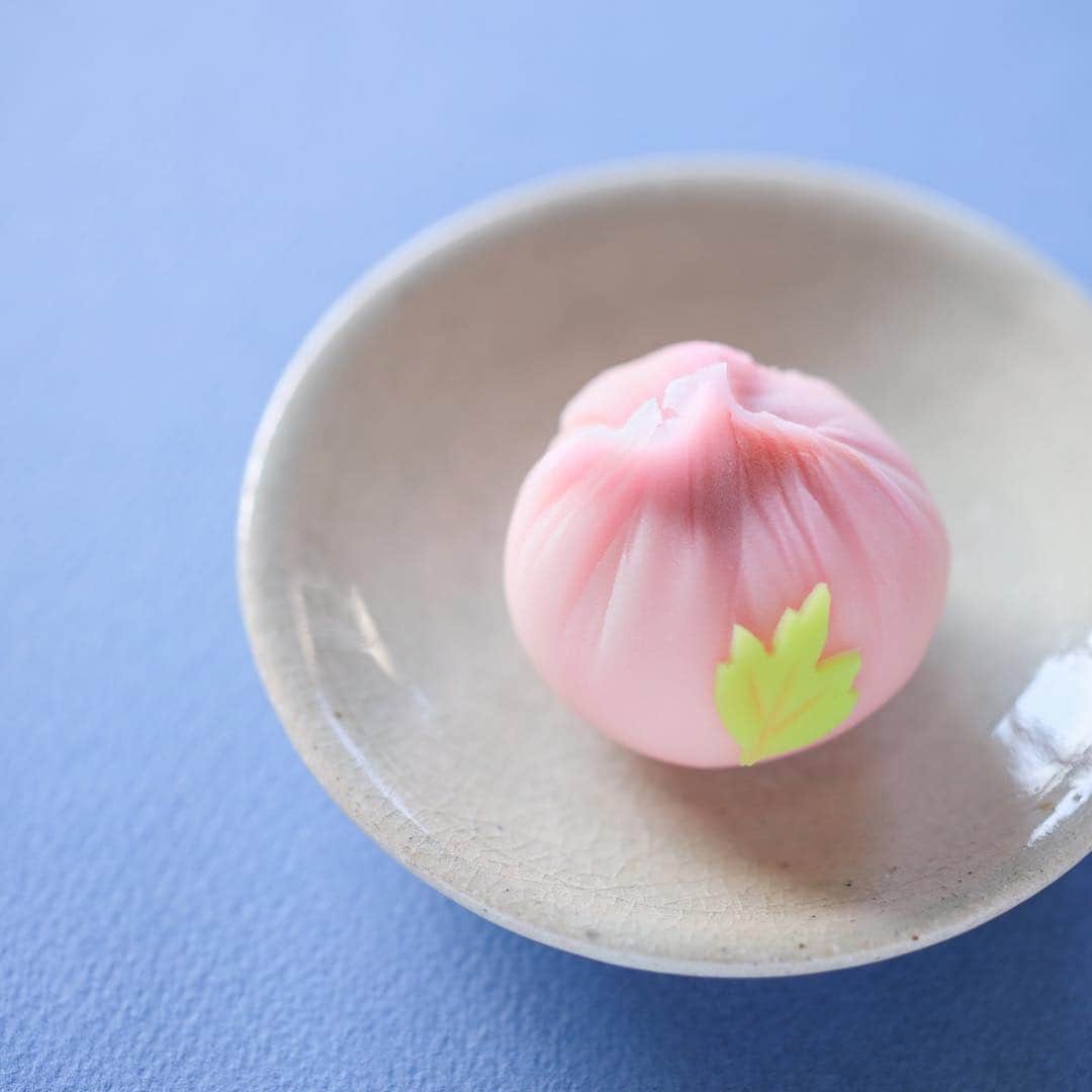 Toru Tsuchieのグルメインスタ