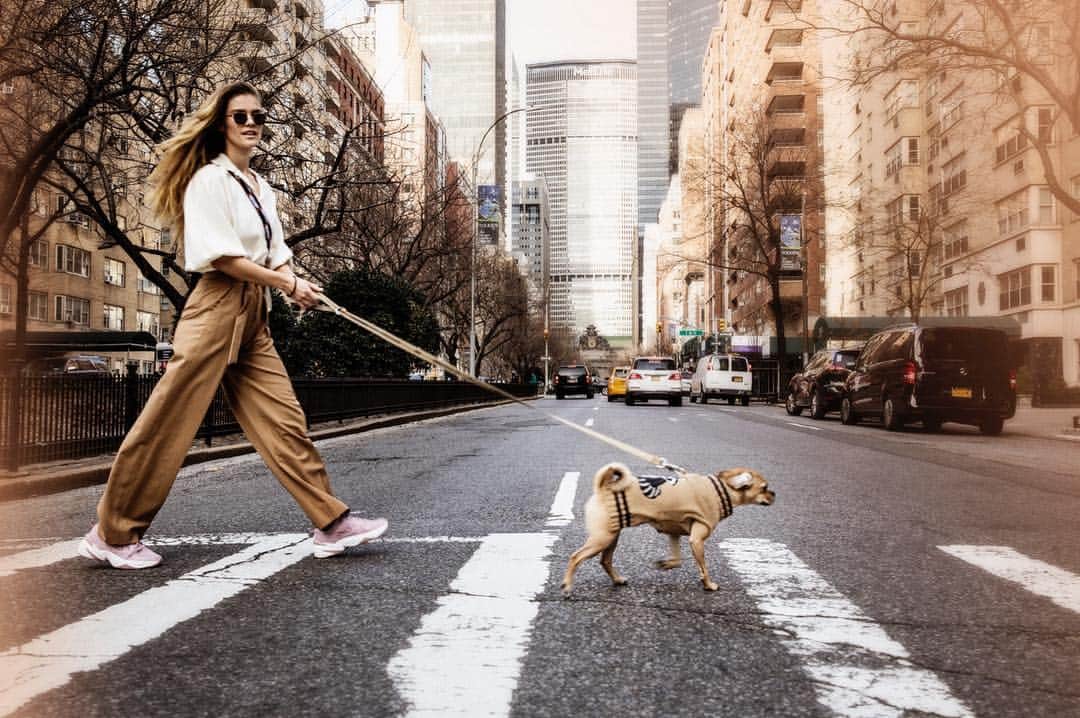 ニーナ・アグダルのインスタグラム：「On our way to steal your treats.」