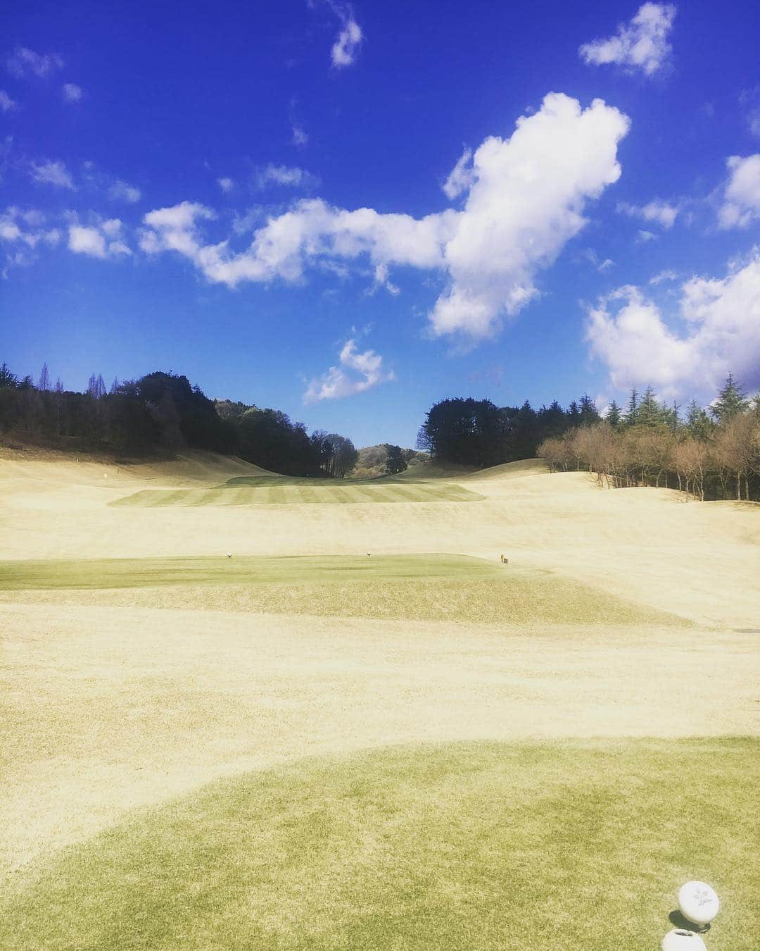 大野大輔さんのインスタグラム写真 - (大野大輔Instagram)「#ゴルフ#コースデビュー#栃木 先日デビューしました！めちゃくちゃ楽しかったー！」4月18日 7時07分 - ohnodaisuke