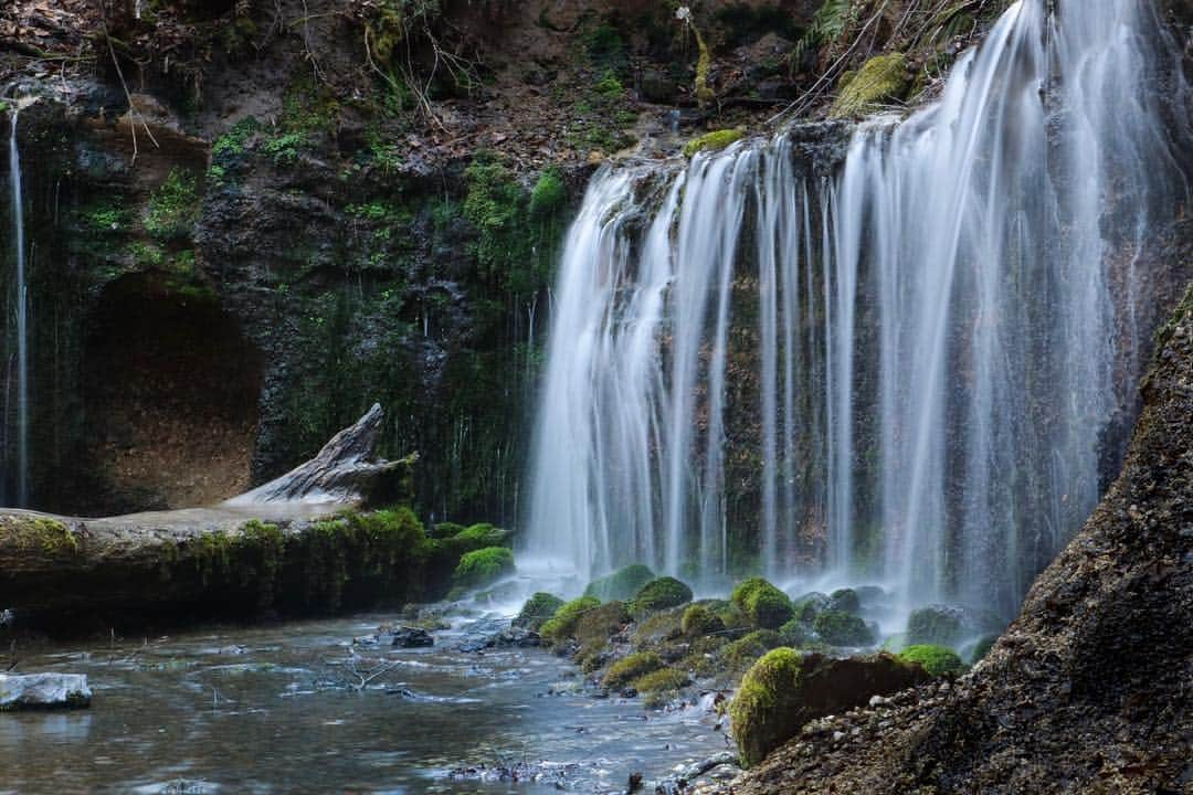 アンドリュー・ドッズさんのインスタグラム写真 - (アンドリュー・ドッズInstagram)「Life doesn’t flow backwards. #japan #karuizawa #shiraitofalls #waterfall」4月18日 7時20分 - andrew_dodds