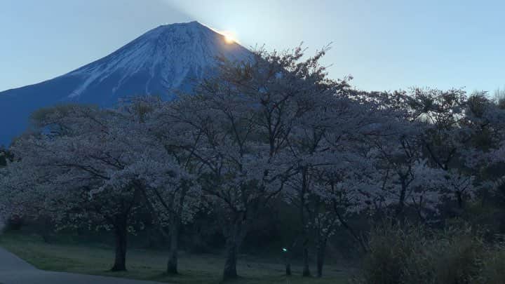 phantastic420のインスタグラム：「. 🤩🤩“Shizuoka” prefecture in Japan is a place where you can see the most “phantastic” Mt. Fuji🗻 in the world.🤩 #富士山 #mtfuji #japan #shizuoka #fujinomiya  #phantastic420photography #mostphantasticmtfuji #selamatpagi  #goodmorning  #おはようございます 😇😇😇😇😇😇😇🗻😇😇」