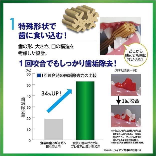 ライオン商事株式会社さんのインスタグラム写真 - (ライオン商事株式会社Instagram)「4月18日は#よい歯の日 😁 【歯みがきガムを使ったオーラルケア】 みなさんは、ワンちゃんに歯みがきをしていますか？？ 「頑張ってはいるけれど、毎日歯みがきするのはちょっとタイヘン…😥」 「歯みがきに挑戦し始めたばかりで、まだ用品に慣れていない…💦」 . そんなときは、『オーラルケアガム』がオススメです☝︎ 歯みがきは毎日やるのが基本ですが、忙しいときはおやつにオーラルケアガムを与えましょう。 ・ 歯みがき初心者さん🌱も、用品に慣れる練習の合間においしくケアできます😋 ！ ・ 《オーラルケアガムのポイントQ ＆A》 Q.どんなオーラルケアガムがおすすめ❓ A.オーラルケアガムは、固すぎず、少し“しなる”位のガムがベストです。固すぎるおやつやおもちゃを与えると歯が折れてしまう危険性もありますので注意しましょう！ ・ Q.よく噛まずに食べ終わってしまう…💦 A.オーラルケアガムを手にもって食べさせると、ゆっくりしっかり噛みます。左右の奥歯で交互に食べさせると左右均等にケアできますよ！ ・ ・ ★PETKISS食後の歯みがきガムシリーズに【プレミアムタイプ】が新登場！！👀 プレミアムのヒミツは…？？✨✨ ①特殊形状でどこから噛んでも歯に食い込む設計！ ②ぐにゃっと曲がる高弾力だから、長く噛める！ ③ワンちゃん大好きな『ミルク風味』！！ ★超小型犬用、小型犬用、中型用、プチタイプの4種類です！ ・ ぜひ、お試しください💚 ・ ・ #ペットオーラルケア #歯みがきガム #PETKISS #歯みがきガムプレミアム #犬歯みがき #オーラルケアガム #オーラルケア #lionpet #lionpetdog #lion #ライオンペット #ジャックラッセルテリア #ジャックラッセル部 #犬 #いぬ #犬のいる暮らし #犬好きと繋がりたい #いぬすたぐらむ #dogstagram #dogsofinstagram #かわいい #love #dog #dogs @lion_pet_dog」4月18日 7時51分 - lion_pet_dog