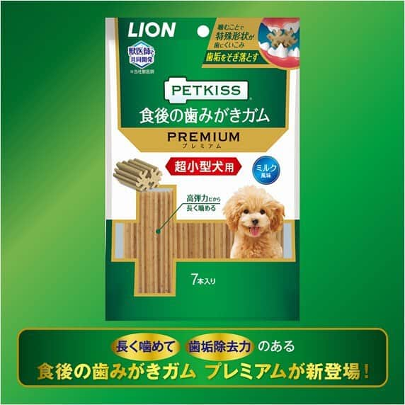 ライオン商事株式会社さんのインスタグラム写真 - (ライオン商事株式会社Instagram)「4月18日は#よい歯の日 😁 【歯みがきガムを使ったオーラルケア】 みなさんは、ワンちゃんに歯みがきをしていますか？？ 「頑張ってはいるけれど、毎日歯みがきするのはちょっとタイヘン…😥」 「歯みがきに挑戦し始めたばかりで、まだ用品に慣れていない…💦」 . そんなときは、『オーラルケアガム』がオススメです☝︎ 歯みがきは毎日やるのが基本ですが、忙しいときはおやつにオーラルケアガムを与えましょう。 ・ 歯みがき初心者さん🌱も、用品に慣れる練習の合間においしくケアできます😋 ！ ・ 《オーラルケアガムのポイントQ ＆A》 Q.どんなオーラルケアガムがおすすめ❓ A.オーラルケアガムは、固すぎず、少し“しなる”位のガムがベストです。固すぎるおやつやおもちゃを与えると歯が折れてしまう危険性もありますので注意しましょう！ ・ Q.よく噛まずに食べ終わってしまう…💦 A.オーラルケアガムを手にもって食べさせると、ゆっくりしっかり噛みます。左右の奥歯で交互に食べさせると左右均等にケアできますよ！ ・ ・ ★PETKISS食後の歯みがきガムシリーズに【プレミアムタイプ】が新登場！！👀 プレミアムのヒミツは…？？✨✨ ①特殊形状でどこから噛んでも歯に食い込む設計！ ②ぐにゃっと曲がる高弾力だから、長く噛める！ ③ワンちゃん大好きな『ミルク風味』！！ ★超小型犬用、小型犬用、中型用、プチタイプの4種類です！ ・ ぜひ、お試しください💚 ・ ・ #ペットオーラルケア #歯みがきガム #PETKISS #歯みがきガムプレミアム #犬歯みがき #オーラルケアガム #オーラルケア #lionpet #lionpetdog #lion #ライオンペット #ジャックラッセルテリア #ジャックラッセル部 #犬 #いぬ #犬のいる暮らし #犬好きと繋がりたい #いぬすたぐらむ #dogstagram #dogsofinstagram #かわいい #love #dog #dogs @lion_pet_dog」4月18日 7時51分 - lion_pet_dog