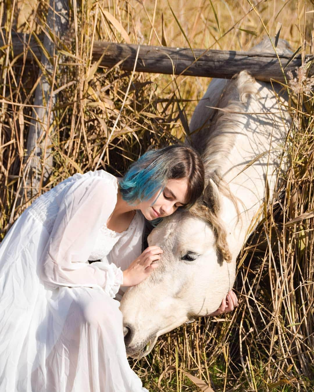 Instagramさんのインスタグラム写真 - (InstagramInstagram)「Want to believe you’re in a rustic fairy tale? “Close your eyes and let yourself go,” says Isa Colino Justicia (@akanita7), who did just that when she stumbled upon a wild horse in the outskirts of Lleida, Spain. #WHPvibes Photo by @akanita7」4月18日 7時59分 - instagram