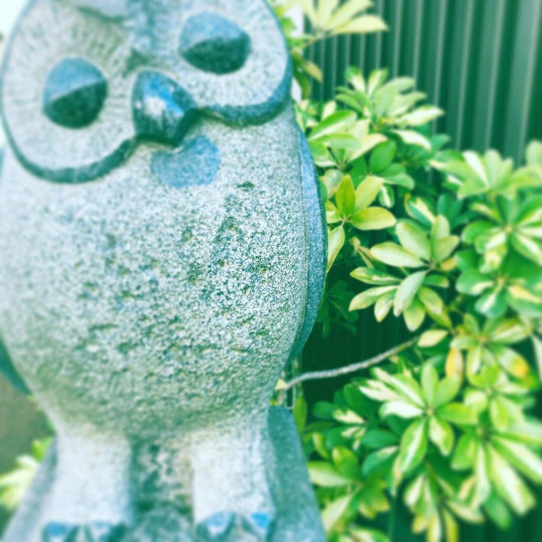 中野敬久さんのインスタグラム写真 - (中野敬久Instagram)「#ふくろう #ん #owl #statue #street」4月18日 8時05分 - hirohisanakano