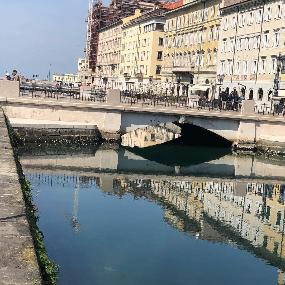 サミュエル・L・ジャクソンさんのインスタグラム写真 - (サミュエル・L・ジャクソンInstagram)「Gonna do some car chasing & other chaos in this lovely Italian spot, Trieste tonight!#hitmanswifesbodyguard#ilovemyjob」4月17日 23時08分 - samuelljackson