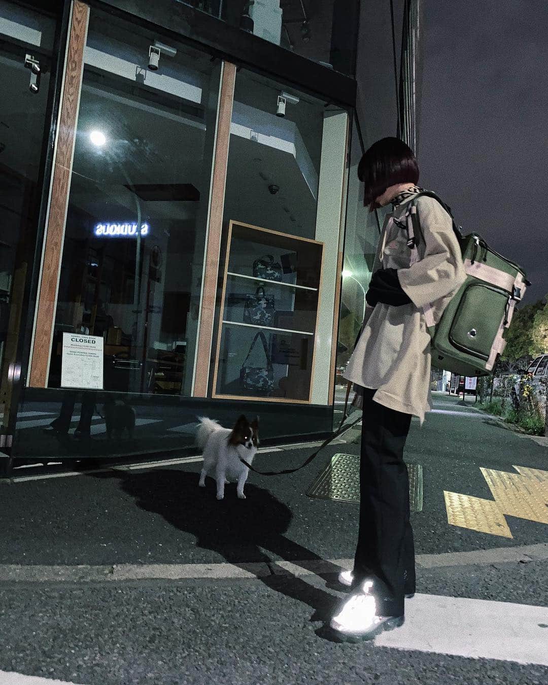 Yukano Nojiriさんのインスタグラム写真 - (Yukano NojiriInstagram)「こっちゃんのお出掛けシリーズ😂 犬OKなお店を探すのがマイブーム。笑 都内でオススメあれば教えてください。笑 #こつぶ #パピチワ #パピヨン #papillon」4月17日 23時14分 - yukano22