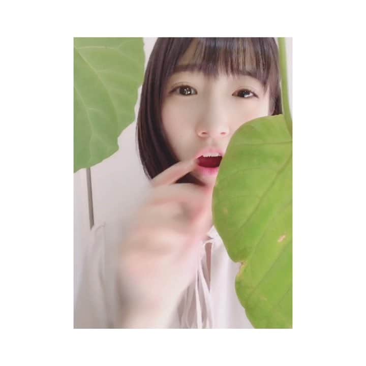 坂本 愛玲菜のインスタグラム