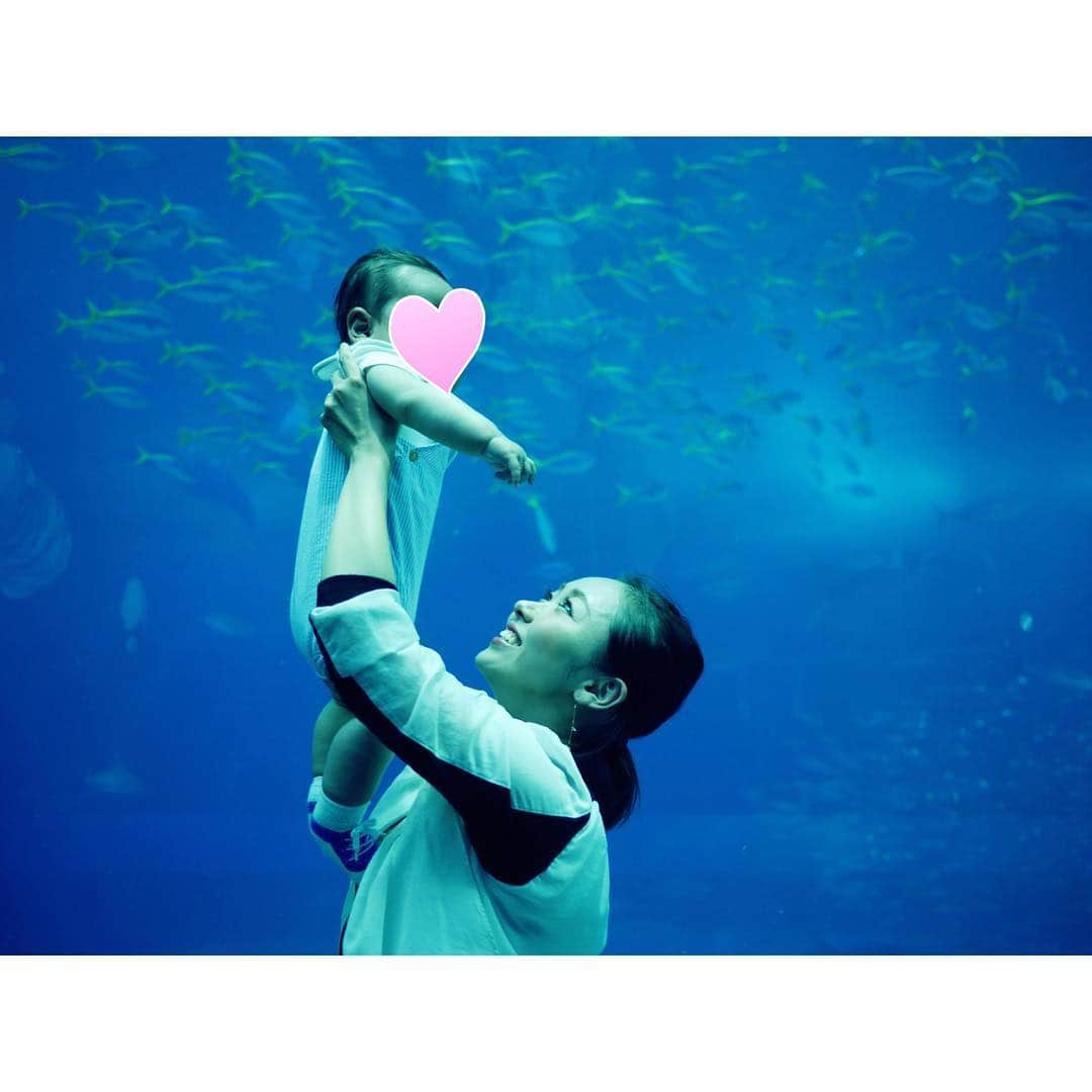 松本亜希さんのインスタグラム写真 - (松本亜希Instagram)「・ 美ら海水族館、息子の反応ですが、ものすごい食いついててビックリでした😍 目の前に広がる初めて見る大きな水槽に、目をキラキラさせながら釘付けで、私あの息子の顔忘れられない😭😭 心の底から連れてきてあげれて良かったって思いました😆😆 ・ それに、2匹のジンベイザメの餌を食べる時間にも遭遇できて、1番最後の動画の、餌を食べる時しか見れない立ち泳ぎ姿のジンベイザメも見れて皆で大興奮でした♡ 巨大水槽大迫力ですごかったなぁ〜 ・ 美ら海水族館、遠いけど行って大正解でした！！ また水族館連れていってあげないと🐟🐡 #写真3枚目の夫と息子の写真すごくお気に入り ＿＿＿＿＿＿＿＿＿＿＿＿＿＿＿＿ #沖縄 #okinawa #沖縄旅行 #家族旅行 #美ら海水族館 #水族館 #水族館デビュー #akirontravel✈️ #子連れ沖縄 #10月生まれ #男の子ママ #love #aki_mamalife #babyboy #baby #boy  #息子 #生後6ヶ月」4月17日 23時14分 - m_akiron