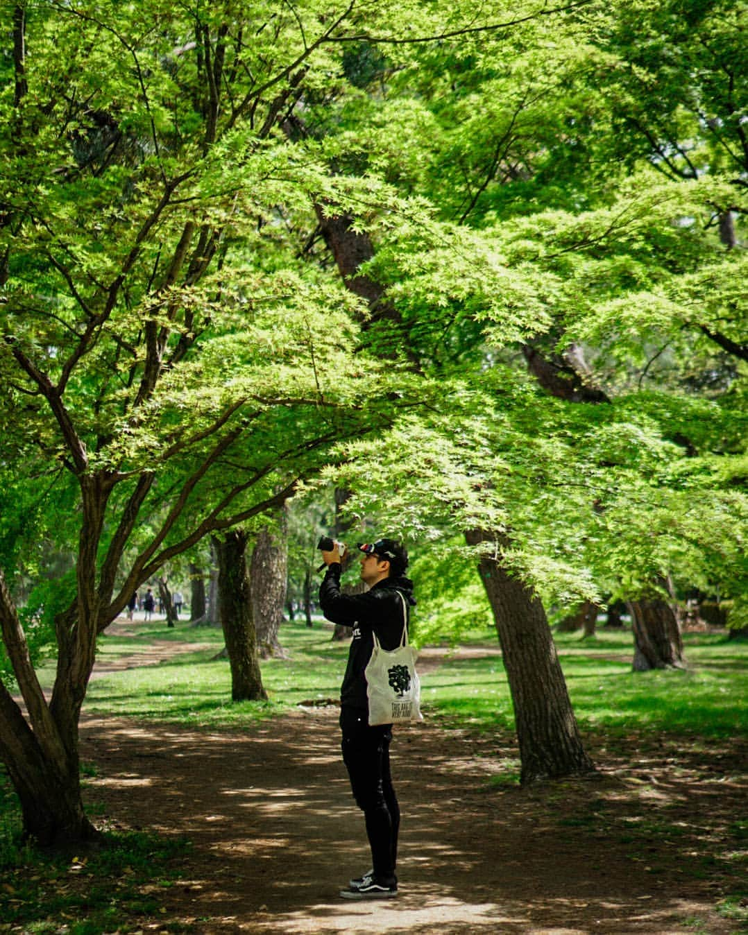 開フェルバイのインスタグラム：「Last days! 🌿🌳#fortnite #japan #wailingwoods #kyoto」