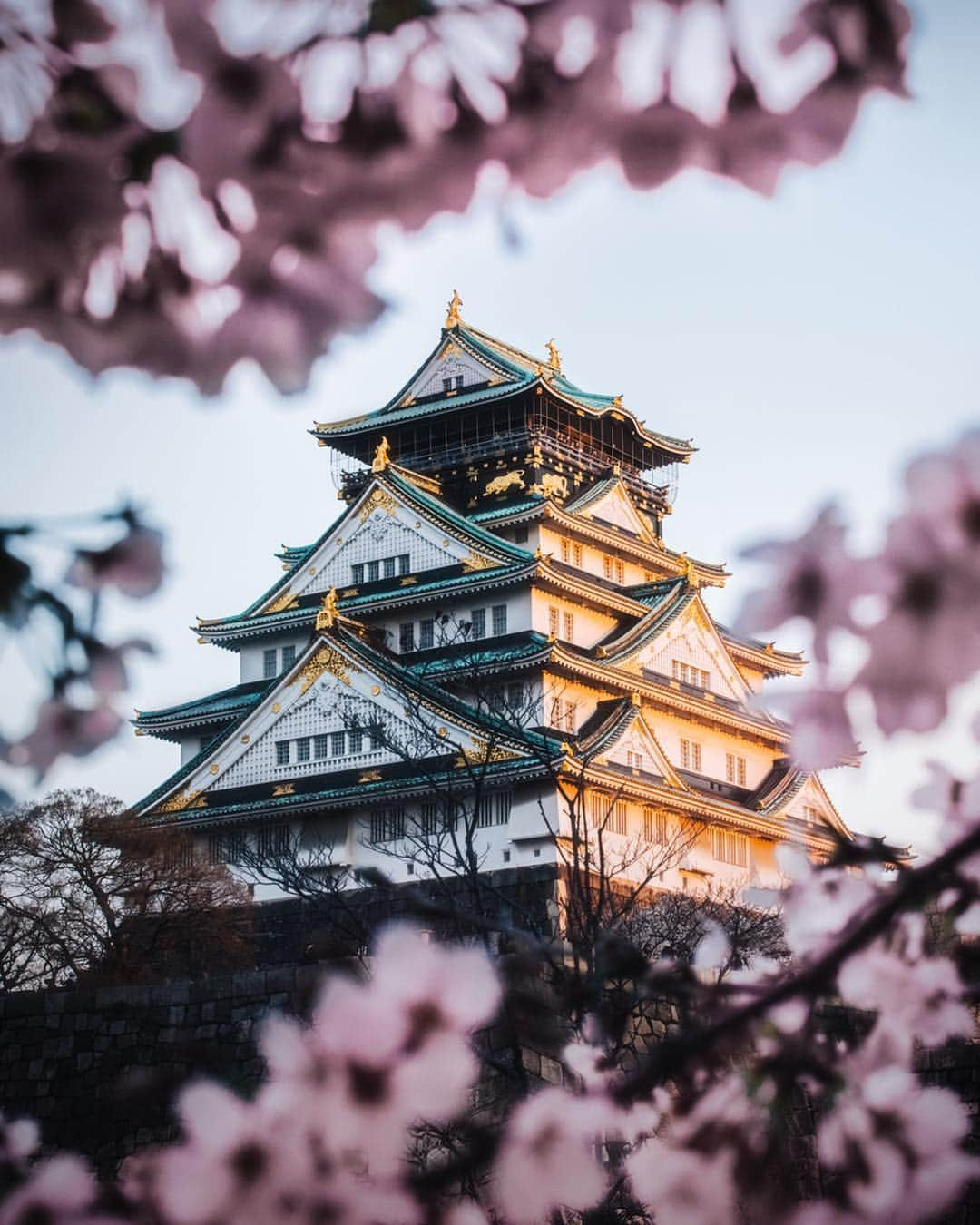 Canon Photographyさんのインスタグラム写真 - (Canon PhotographyInstagram)「// @jordhammond: Shrouded in cherry blossoms, the mighty Nachi Falls is by far one of my favourite sights in Japan. Speaking of which, we just uploaded our guide to the ‘Top 5 Cherry Blossom locations in Tokyo’. Check out the link in my bio, and feel free to let me know what you guys’ think! 🌸💧」4月18日 0時43分 - cpcollectives