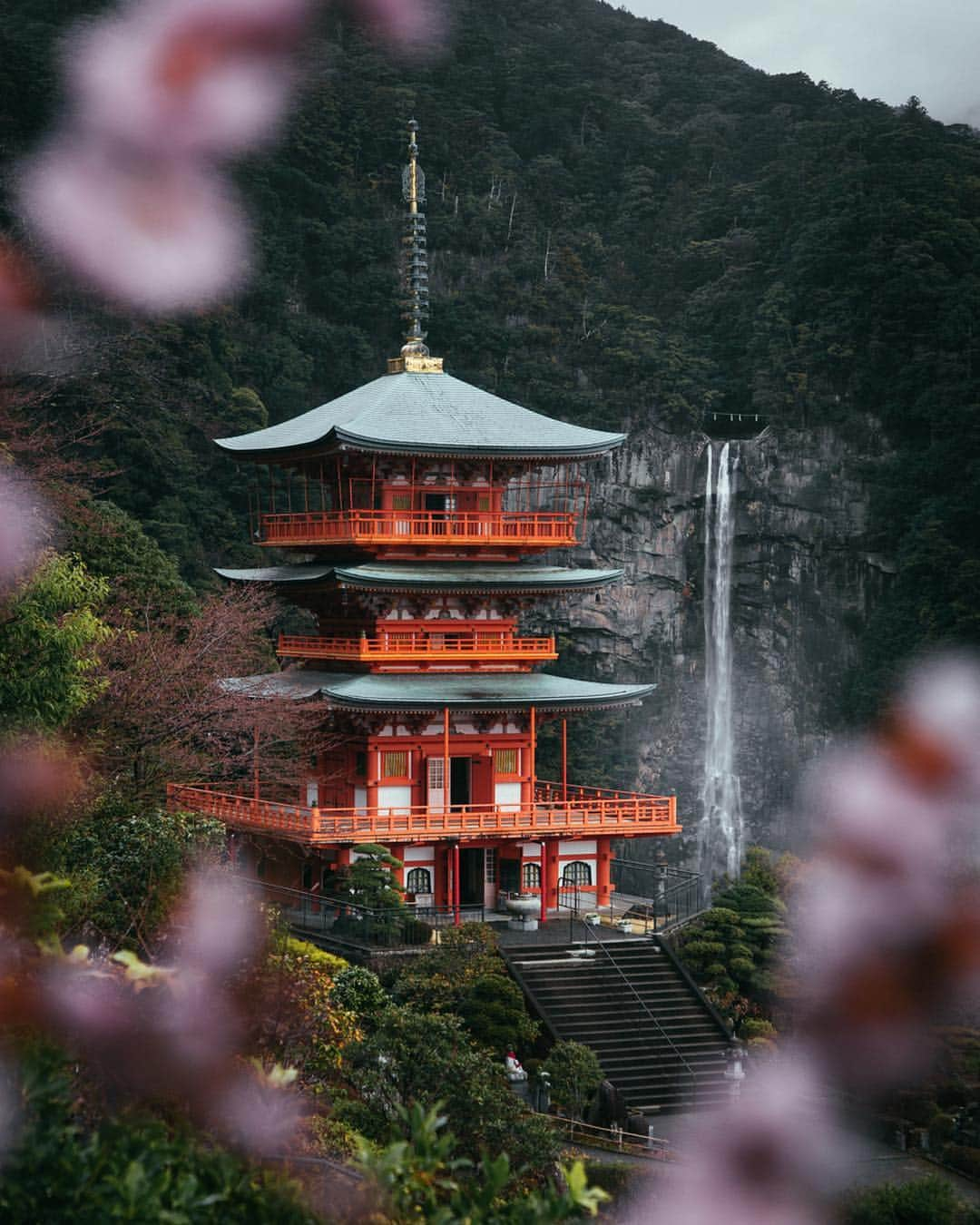 Canon Photographyさんのインスタグラム写真 - (Canon PhotographyInstagram)「// @jordhammond: Shrouded in cherry blossoms, the mighty Nachi Falls is by far one of my favourite sights in Japan. Speaking of which, we just uploaded our guide to the ‘Top 5 Cherry Blossom locations in Tokyo’. Check out the link in my bio, and feel free to let me know what you guys’ think! 🌸💧」4月18日 0時43分 - cpcollectives