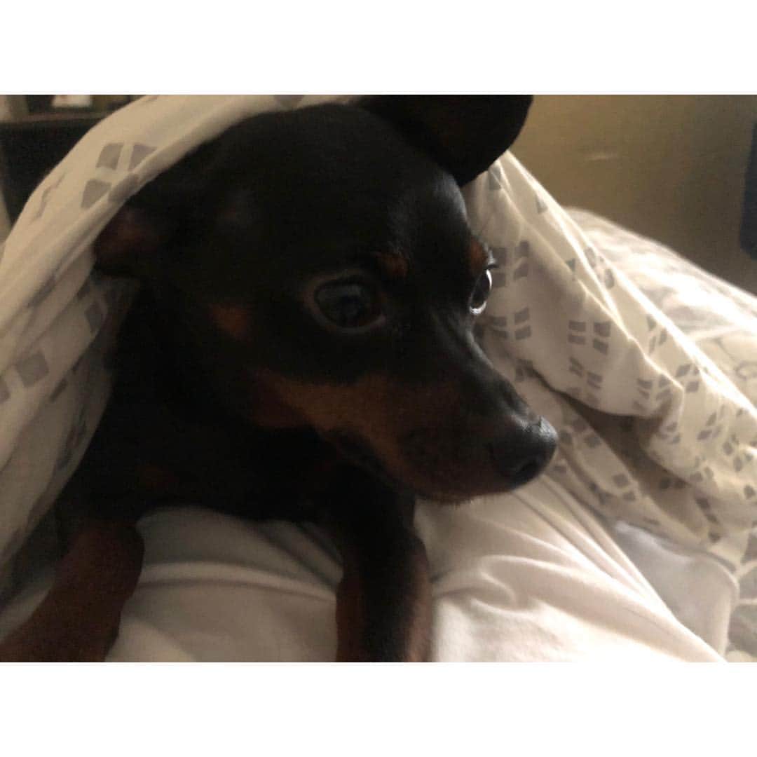 ジヒョク のインスタグラム：「형좀 자게 좀 ... ㅋㅋ」