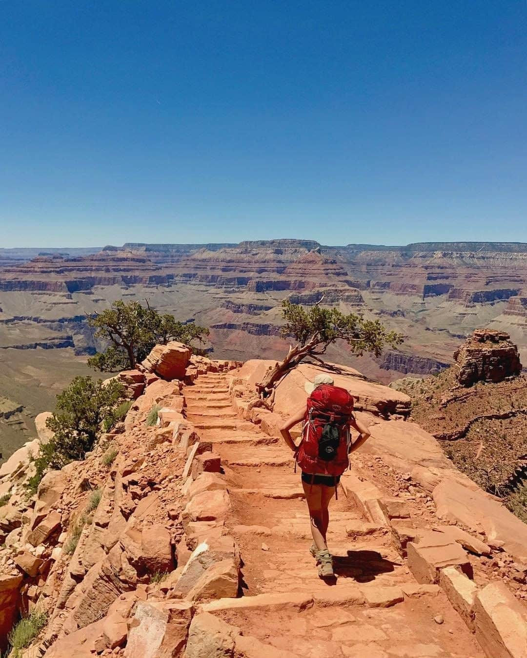 REIさんのインスタグラム写真 - (REIInstagram)「#NationalParkWeek starts on Saturday! To celebrate, we want to see photos from your favorite national park.  Share a picture and use #REIchallenge for a chance to be featured next week.  Photo: @followtiffsjourney in Grand Canyon National Park, #Arizona」4月18日 1時11分 - rei