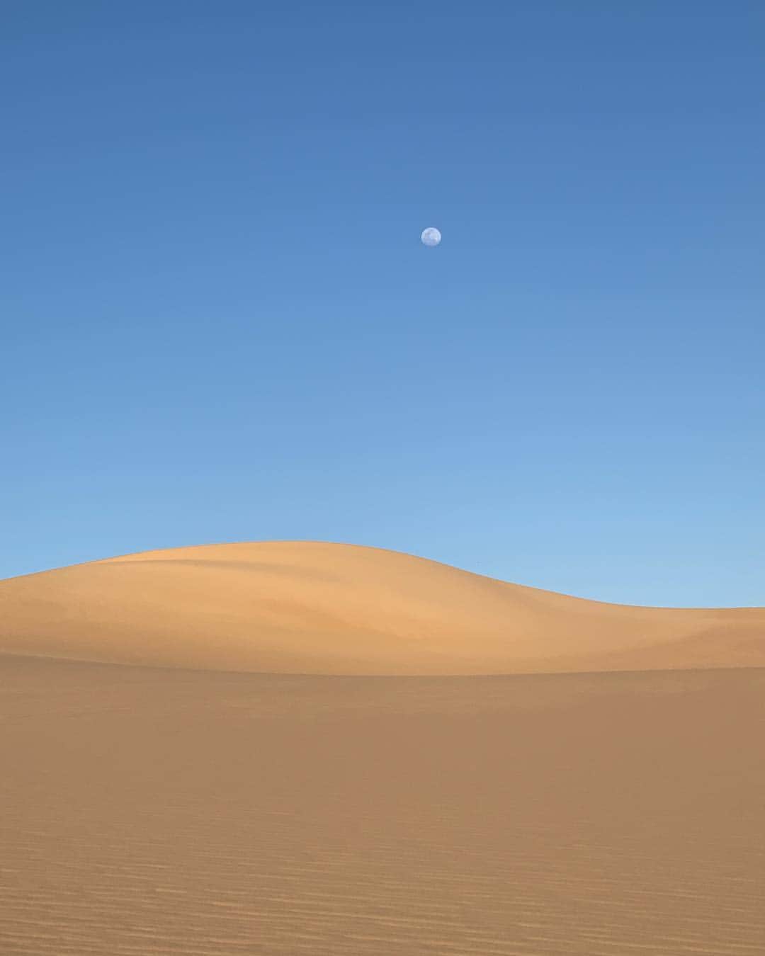 キム・ジョーンズさんのインスタグラム写真 - (キム・ジョーンズInstagram)「Sahara 💙」4月18日 1時22分 - mrkimjones