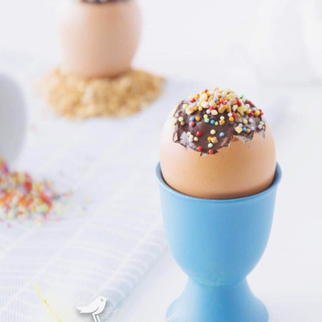 auchan_franceさんのインスタグラム写真 - (auchan_franceInstagram)「Pâques arrive à grand pas, et pour l’occasion, nous vous proposons une recette qui tombe à pic ! Des œufs au chocolat maison, et pourquoi pas ? 🐣🍫 . . . . #pâques #oeufs #chocolat #miam #recette #auchan #auchanfrance #EtLaVieChange  Pour 4 œufs au chocolat vous aurez besoin de : ‌‌80 g de chocolat noir 70% - 40 g de cacao en poudre - 4 œufs - 100 g de crème fraîche liquide - 80 g de pralin Préparation : 1️⃣ Râpez le chocolat noir dans un saladier. 2️⃣ Dans une casserole, faites chauffer à feu doux la crème et le cacao. Dès ébullition, versez le mélange dans le saladier, avec le chocolat râpé. Mélangez bien 3️⃣Laissez refroidir en remuant régulièrement et ajoutez le pralin. Mélangez et laisser de côté.  Pour les œufs :  1️⃣ Nettoyez les œufs à l’eau froide et séchez-les. 2️⃣ Faites un petit trou sur le haut de l’œuf avec une aiguille ou une fine pointe de couteau. 3️⃣ Videz les œufs, nettoyez-les, et laissez sécher 4️⃣ Mettez votre préparation dans une poche à douille ou une seringue à pâtisserie pour vous faciliter le remplissage.  Bonne dégustation ! 😋」4月18日 1時38分 - auchan_france