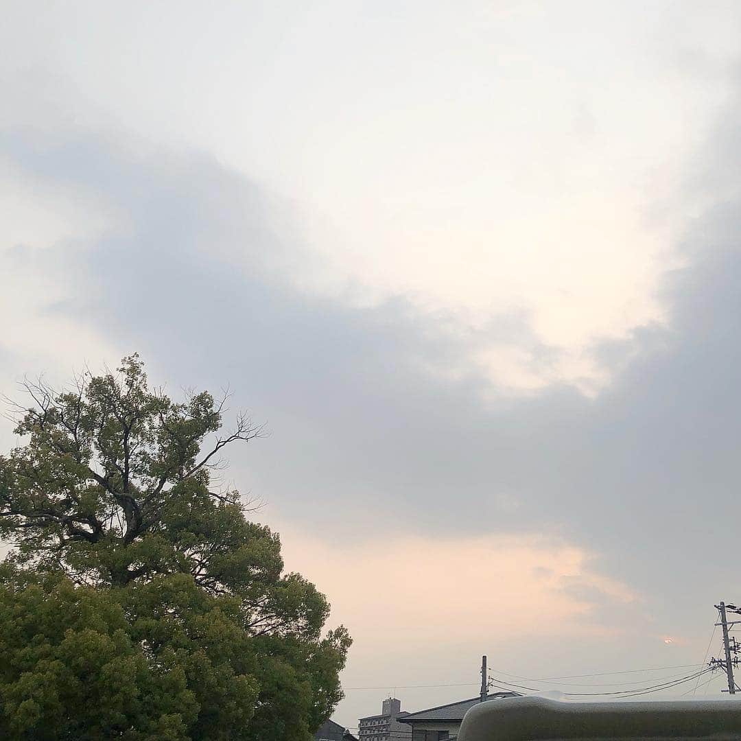 えぐっちょのインスタグラム