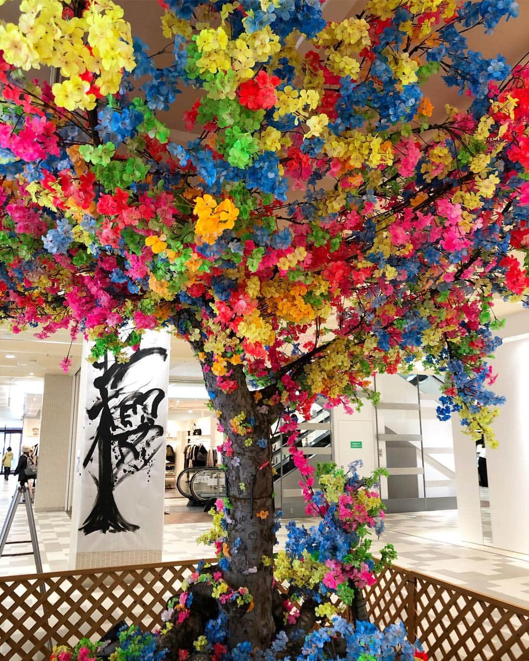 りんご娘さんのインスタグラム写真 - (りんご娘Instagram)「ヒロロにてお買い物👛  お買い物と衣装合わせの帰りに 一階に立ち寄ってみたら、 アーティスト @artistgoma さんが作った #虹櫻の木 を発見！！ すごーい色鮮やかで、綺麗な桜でした🌸🌸 皆さんもぜひ！行ってみてください😉  その後は4/28のライブに向けて一階の佐藤長にて大量のお水を☘️ #お買い物はヒロロへ #ヒロロ #弘前市 #お買い物 #ショッピング #弘前駅前」4月18日 2時33分 - _ringo.musume.com_