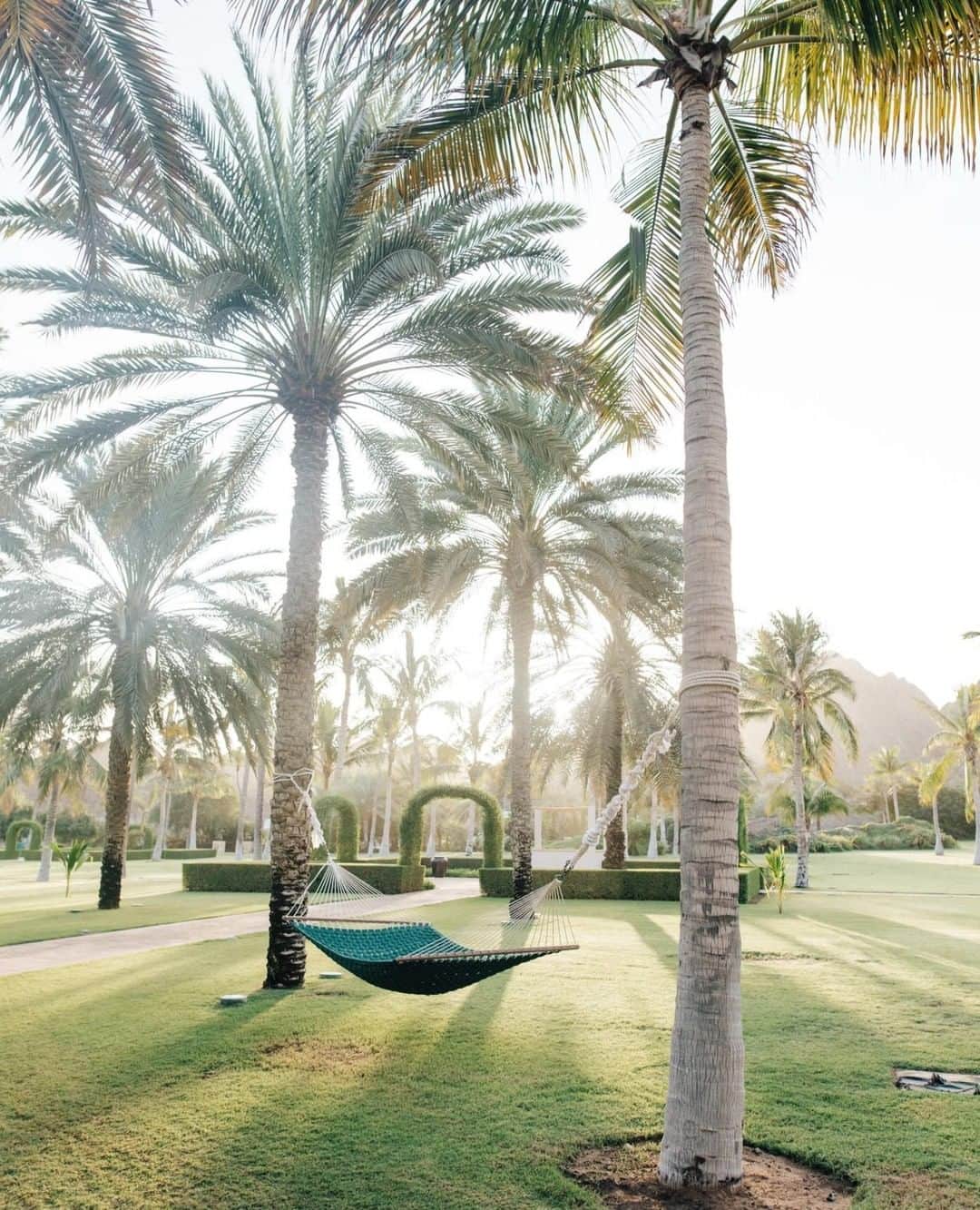 リッツ・カールトンさんのインスタグラム写真 - (リッツ・カールトンInstagram)「Sway into serenity under the warmth of golden rays. #Oman #Muscat #sunseekers #serenity #sunshine #palmtrees #getaway #vacation #relaxing #hammock #peaceful #travel #travelgram #Instatravel #traveldiaries」4月18日 3時01分 - ritzcarlton