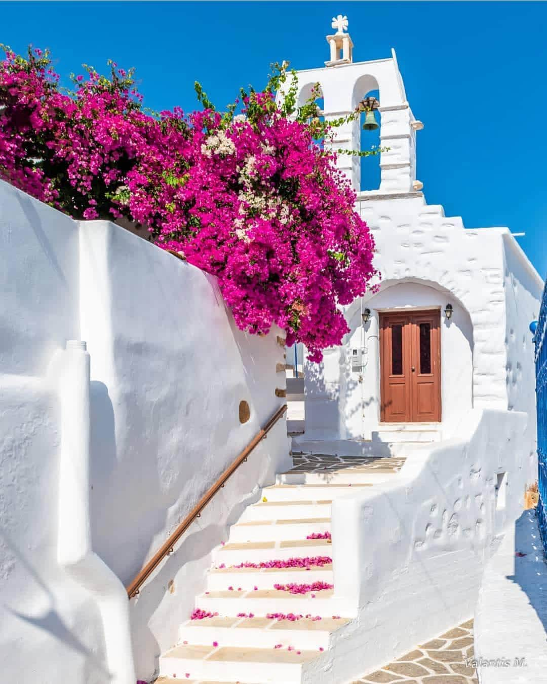 Wonderful Placesさんのインスタグラム写真 - (Wonderful PlacesInstagram)「Paros Island - Greece ✨🌺🌺🌺✨ . Pictures by ✨✨@minogiannisvalantis✨✨ #wonderful_places for a feature 🌺」4月18日 4時13分 - wonderful_places