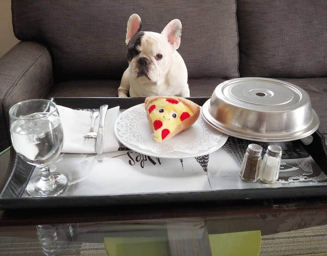 Manny The Frenchieさんのインスタグラム写真 - (Manny The FrenchieInstagram)「You can't be serious?! 😒🍕」4月18日 4時42分 - manny_the_frenchie