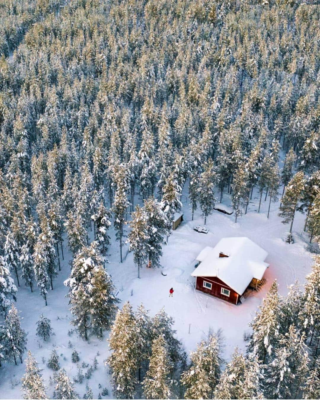 フィンランド政府観光局さんのインスタグラム写真 - (フィンランド政府観光局Instagram)「冬も夏も、どんな季節でも、コテージはフィンランド人にとって大切なものです。 ． @semicolin_ さんの写真。Kiitos！」4月18日 4時54分 - visitfinlandjapan