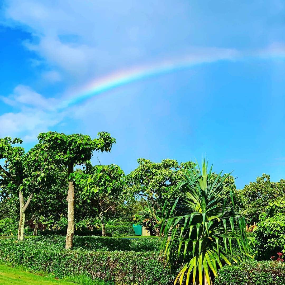 ステファニー・プラットのインスタグラム：「About to do #PrattCast from Hawaii- not sure the podcast will be all rainbows 🌈 & butterflies 🦋... who will be tuning into listen? And what do you guys want to know? @wellsadams is calling me in a min to record...😘 link in bio @iheartradio 🥳」