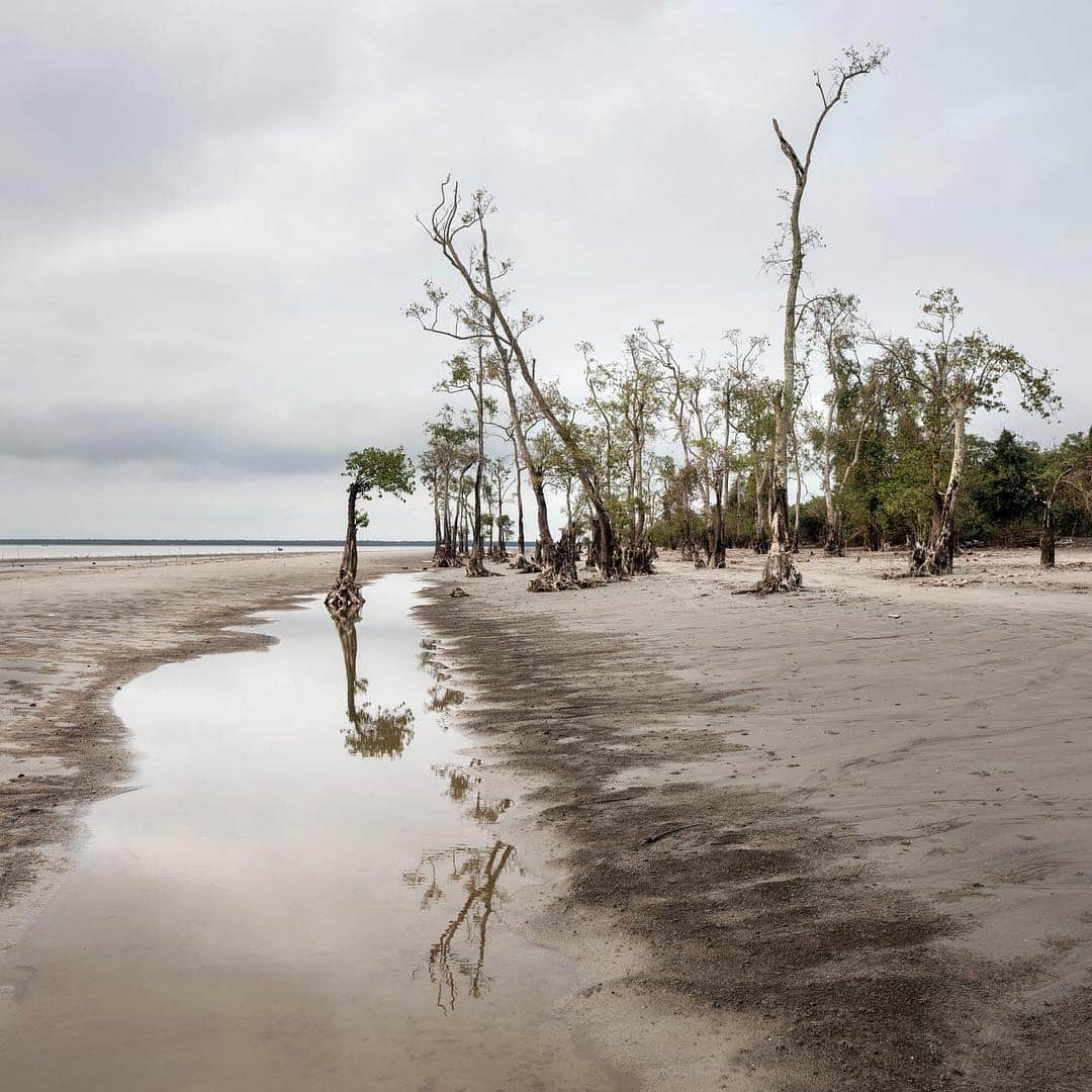 ニューヨーク・タイムズさんのインスタグラム写真 - (ニューヨーク・タイムズInstagram)「Researchers warn that within a few decades, Bangladesh may lose more than 10% of its land to rising sea levels, displacing as many as 18 million people. Decisions to leave coastal communities aren’t really decisions at all. Families leave because there are no other options. There is no work. There are no homes. Over the past decade, an average of 700,000 Bangladeshis a year migrated because of natural disasters, moving to Dhaka to live in sprawling slums as climate refugees. The sisters Kulsum and Komola Begum have managed to forge opportunity from disaster, making a living scavenging bricks, which they sell to construction workers for roughly $1.40 a sack. ‘‘When we were young, the old people used to say that the sea was very far from here,’’ Komola said. ‘‘They packed up their meals and walked their way to the sea. But now you can reach it in no time.’’ @andrea_frazzetta shot these photos for @nytmag’s climate issue. Visit the link in profile to read more.」4月18日 6時08分 - nytimes