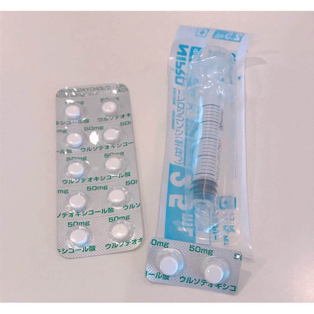 本田裕子さんのインスタグラム写真 - (本田裕子Instagram)「今回のまりん🐶のこと、現状とこれからのことについての忘備録とシェア♬  昨日はまりんの容態次第で一緒に帰れるか⁈ 入院延長になるか⁈ 通院になるか⁈ だったのですが、昨日一緒に帰って来れました🙏 （もしも入院延泊になった場合のために持参したウサちゃん🐰も一緒に。&まりん、帰りの🚕で安心して寝てました☺️♡） 体調はだいぶ回復したとのことで、&神奈川の病院の理念として「飼い主と一緒にいることがワンコも安心して回復力や治癒力が高まる」ということで、その考えにわたし自身も深く賛同して一緒に帰って来ました🐶  又、今回はステロイドや何かの薬などを投与したり特別な治療をした訳ではなく、点滴のみだったそうです。（ご飯も食べて、流動食もしなかったそう。） 又さらに詳しい結果が 約1週間後に出るとのことで（正常値の10倍以上あった “総担汁酸”も含め）、来週また診察に行くことに。  まず、「肝性シャント（門脈シャント）」に関しては、まだ疑いがあるものの、エコーやレントゲンでは発見されておらず、（エコーで胆嚢の状態が良くない という別の新しい症状が見つかりました）、正確に明確に分かるにはCT検査になるとのことで、CT検査もそれなりの費用がかかるので飼い主さんの意向もありますし、しばらくは内的な治療で様子を見ていきましょう！ということでした。  なので、わたしの意向を（まりんはまだ若いから、もし門脈シャントだった場合、進行&悪化するということなので、ずっと疑いを持った状態のまま 内的な治療のみを続けるという形ではなく、CT検査を希望。そのCT検査の際に必要な全身麻酔が受けられる状態なのか、詳しく検査していただいて、全身麻酔が受けられる状態まで体力の回復に努めていきたいと）お伝えしました。  まりんの今の状態は、普段が元気なおてんばちゃんなので、それを基準にすると20%〜30%くらいではありますが、あの意識が朦朧した状態や痙攣、とても辛そうだったり、何しても無反応でボーっとしたり、フラフラしか歩けない状態からは回復しているので（体力が心配だったのと、脳神経に何か障害が残らないか心配だったので😢）とりあえずは本当にホッとしています🙏 …… （昨日わたしと会ったとき、聞いたことない声をあげて物凄い喜んでいて🐶脳の方も大丈夫そう！！ また帰宅後に少し⚽️や🐰を咥えて元気な姿を見せてくれました❣️） ただ、またご飯を食べなくて…💧 （昨日お薬やサプリメント、ロイヤルカナンの肝臓サポートの缶詰めをいただき）  缶詰め1回30グラム→を1日4回あげて（それ以外はオヤツもガムも全て🆖）とのことで、 昨日の朝は食べたから→帰宅後、19時、23時と3回あげてくださいとのことだったけど、また一口も食べていないです(･･;) あと、昨日の夕方にかかりつけの先生から電話をいただき、↑上記のことを全てお伝えしたら、まりんが普段よく食べていたブランドの缶詰めも肝臓サポート用のものがあるらしく、「もし19時のロイヤルカナンも食べないのなら、神奈川の病院に電話して違うブランドの肝臓サポートの缶詰めを、まりんの食欲があるかないかを見る為にあげてみていいか聞いてみてください」とのことで、神奈川の病院に電話したら「19時にもう一度ロイヤルカナンを30グラムあげること。それでも食べなかった場合はそうしてOK。どうだったか電話で報告。昨日に関しては24時間ずっと点滴をしていたので最悪食べなくても大丈夫で、その場合は翌日また通院で点滴に&急変があればいつでも連絡ください」ということでしたので、かかりつけの先生のところに缶詰めをもらいに行き、30分くらい話して帰ってきました。  神奈川の病院では、まりんは慣れない環境や緊張していたのもあり、意識とかもハッキリしてたみたいだけど、かかりつけの先生は まりんの酷かった状態を見ているので、やはり「何かあると思います」っておっしゃっていました。 …… ということで、焦る訳ではなく、まずCT検査に向けての検査を進め、体力回復と体調管理をしてしっかりと向き合っていこうと思っています。  そんなこんなで、わたしも知らないうちに緊張していたのか、まりんにご飯をあげる時間だけは驚くほどピッタリに目が覚めていたのですが、それ以外は死人のようにリビングで寝ていて・・😴 2時間ほど前に一瞬、目が覚めて、そのままリビングで寝落ちし、こんな時間に(^◇^;) 皆さまからのお祈りや応援や情報をはじめ、あたたかい御気持ち等をいただきまして、 本当どんなに力になったことか🙏ヽ(；▽；)💗 心から ありがとうございます✨  母も娘もこれから新たなスタートです！ ……」4月18日 6時10分 - rinrin_yuko