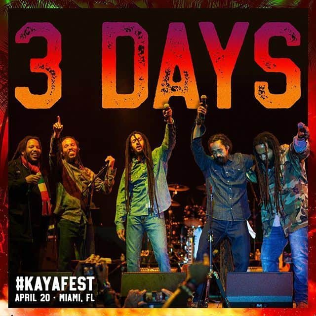 ボブ・マーリーさんのインスタグラム写真 - (ボブ・マーリーInstagram)「Only 3 MORE DAYS until we see @themarleybrothers together again on stage @thekayafest in #Miami this SATURDAY! Come celebrate 4/20 (and @stephenmarley's EarthSTRONG) with us—tickets at link in bio. #kayafest #marleybrothers #musicfestival」4月18日 6時27分 - bobmarley