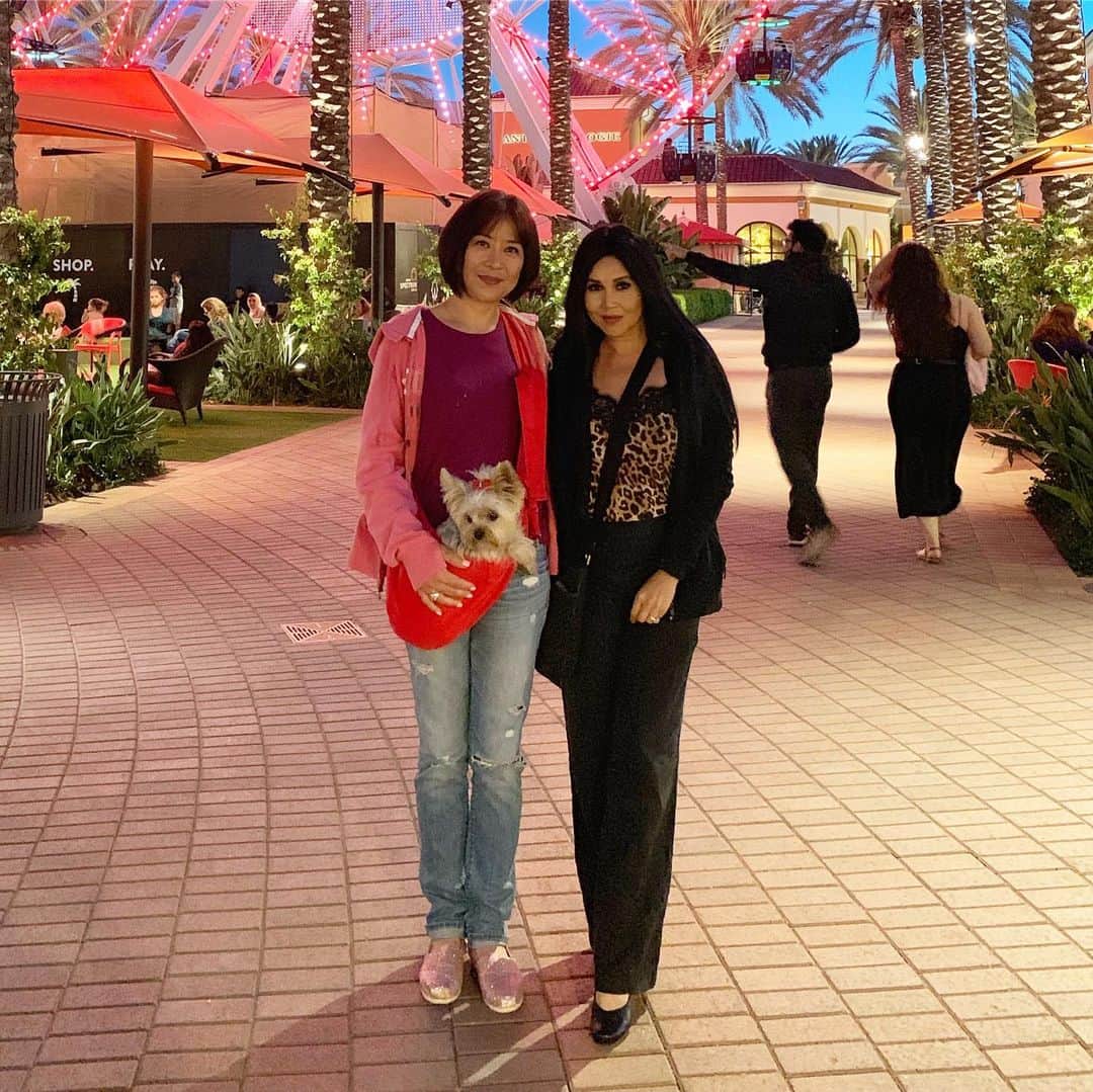 のインスタグラム：「What a fun time visiting my bff Lonnie @iloveleoandcoco ; meeting Misa and mommy @haussofelle for the first time and made a new friend Karen @shutterbugcrazy It was short but sweet visit! 🥰♥️😍💕🤗 #MemoriesMade #ShortButSweet #Bff #Yorkiemom #GoodFriendsAreHardToFind #DogMoms」