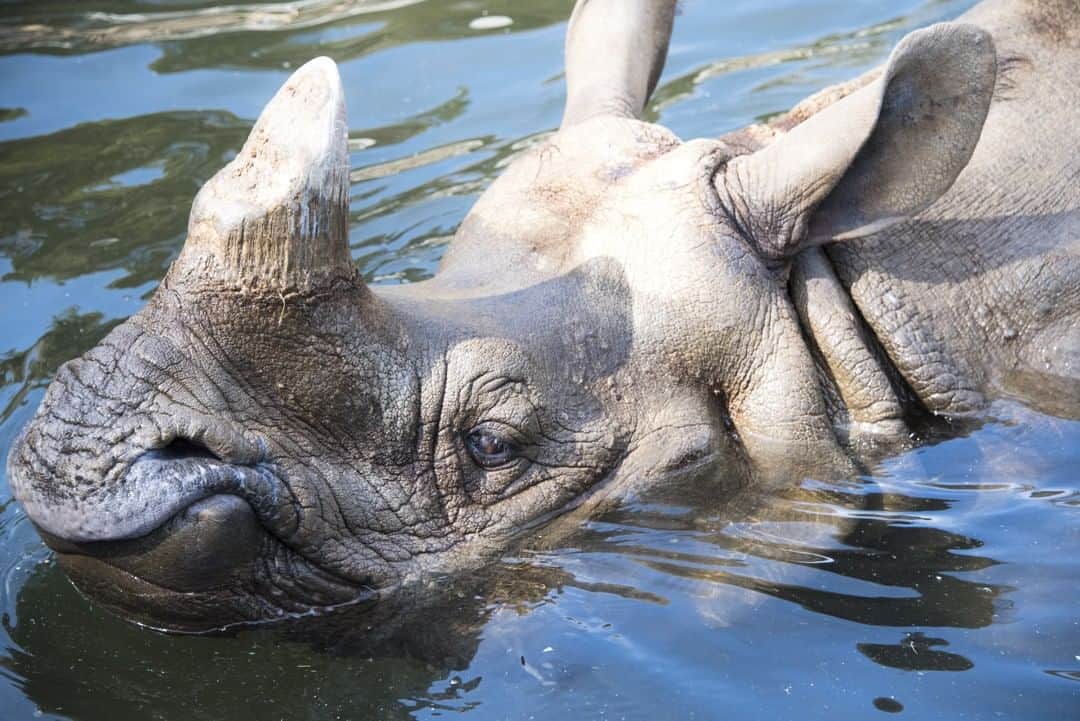東京都庁広報課のグルメインスタ