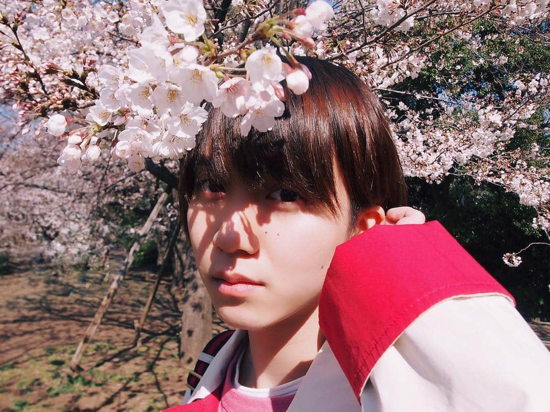 小越勇輝さんのインスタグラム写真 - (小越勇輝Instagram)「暖かい。 #桜 #さくら #サクラ #sakura」4月18日 16時00分 - yuki_ogoe