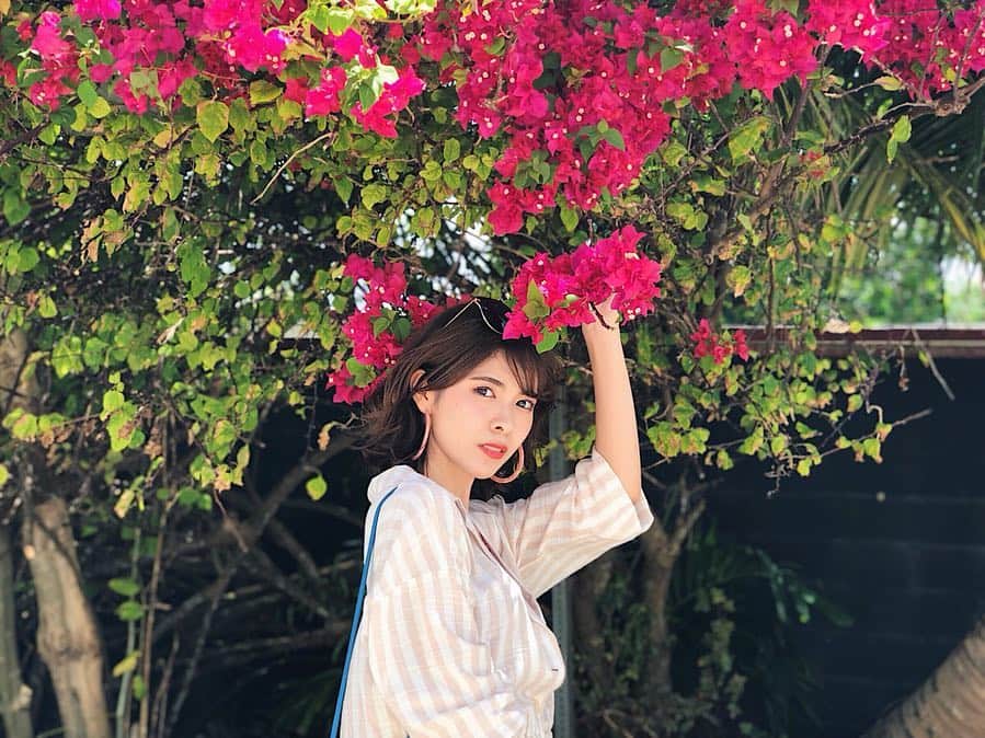Yuika Matsuさんのインスタグラム写真 - (Yuika MatsuInstagram)「. . . 散歩しながら ビーチを🏖目指してたら 見つけた この赤い花🌺 . . かわいくて写真撮ったんだけど名前が分からない 🤔 . →なんて名前か わかる人 🙋🏼‍♀️ . . . . . . . #グアム #guam #guamtrip  #vacances  #trip #girls #常夏 . . #ユイカノレディスタグラム」4月18日 16時22分 - yuika00802