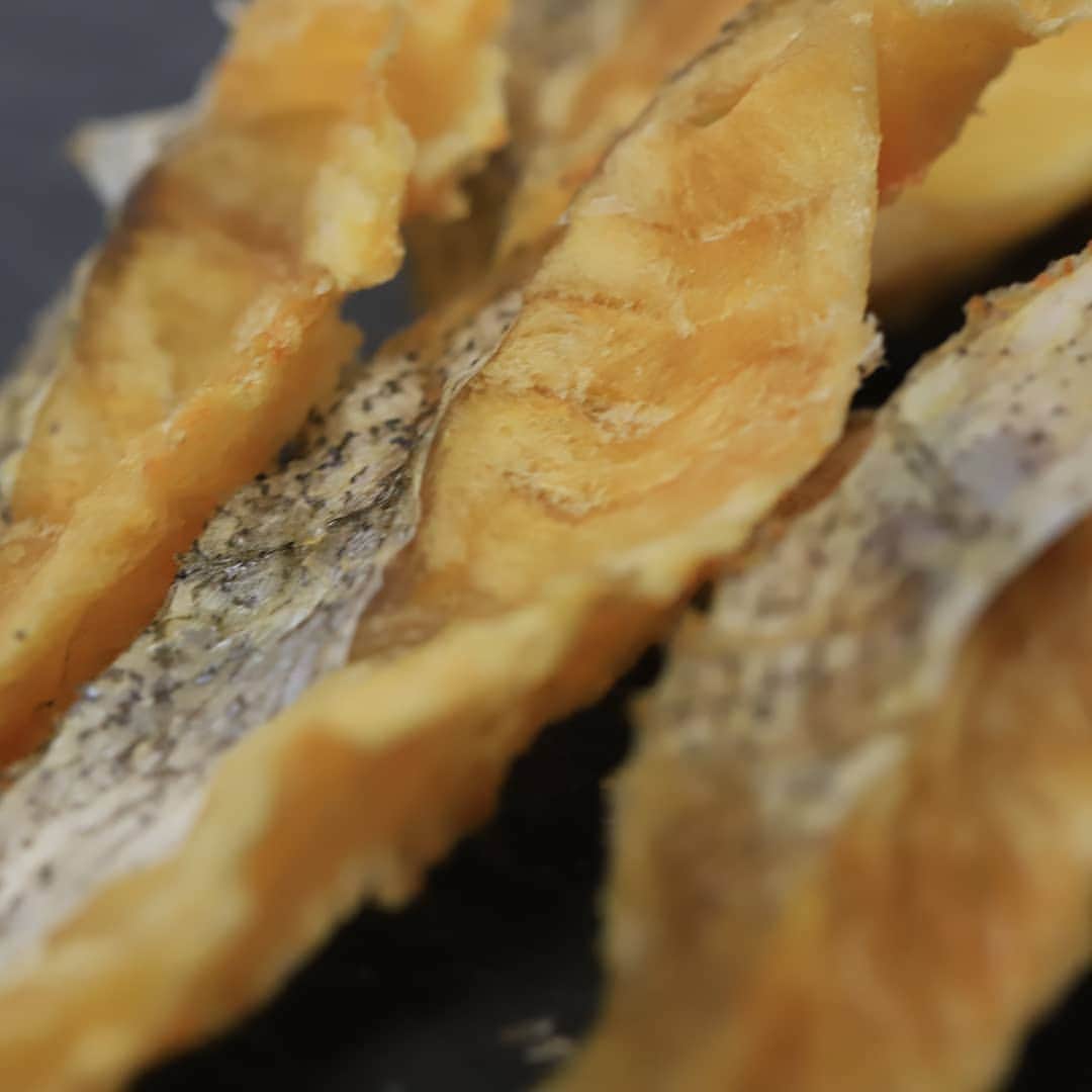 モラキジドッグさんのインスタグラム写真 - (モラキジドッグInstagram)「密かに仕込んでた鱈も上がって来ましたよー！  噛み応えも良いし何よりも体内で合成出来ない「必須アミノ酸」が含まれてて低カロリー低脂質なのも魅力的な食材です！  横浜ドッグウィークから販売スタートです🎵  #横浜ドッグウィーク  #横浜臨港パーク  #モラキジドッグ」4月18日 16時33分 - morakijidog