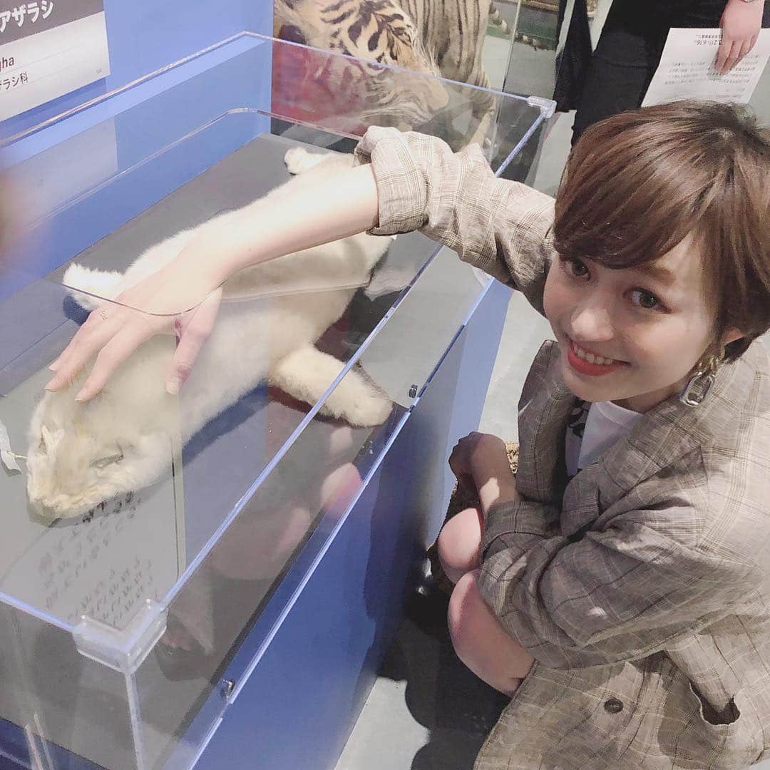 yukichi_yukiさんのインスタグラム写真 - (yukichi_yukiInstagram)「#大哺乳類展2 いってきた💓 生きとし生けるものすべてらんまるに見えてくる。#フェネック蘭丸感強め  #国立科学博物館 #上野 #東京 #上野公園」4月18日 16時47分 - yukichi_yuki