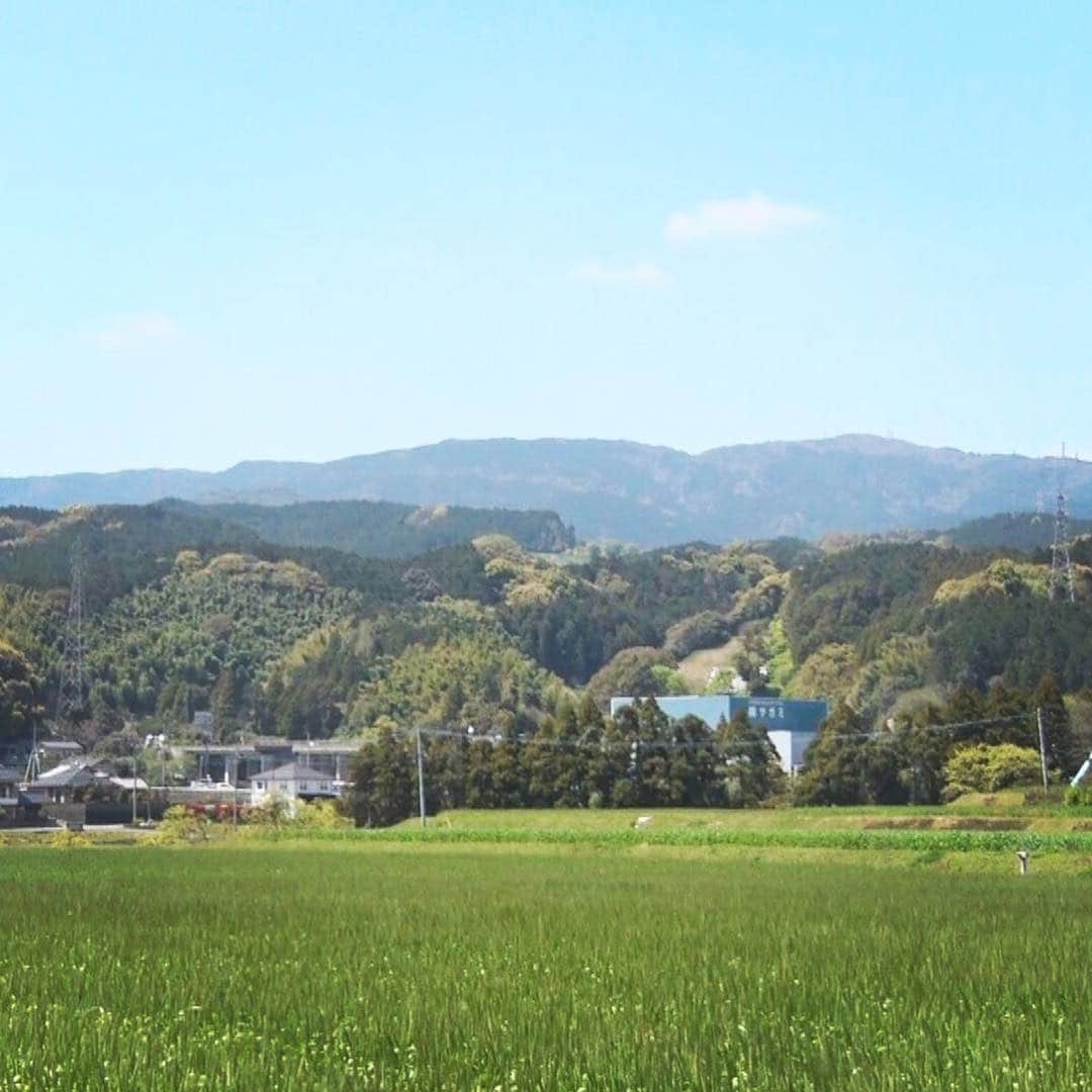 テレビ西日本「Cubetnc」さんのインスタグラム写真 - (テレビ西日本「Cubetnc」Instagram)「今年度初めての、山キューブ。 雑誌『のぼろ』の安藤さんとお伝えします！ 舞台となるのは、佐賀県鳥栖市にある 標高498ｍの城山（じょうやま）。 この時期ならではの花が咲き、 大型連休に登るのに最適な山なんです！ 放送は、あさって20日（土）あさ10時25分からです。 ぜひ、ご覧ください！  #安藤あや　#のぼろ　#登山　#山ガール #城山　#鳥栖市　#山CUBE #福岡NEWSファイルCUBE #田久保尚英　#角田華子 #テレビ西日本　#TNC」4月18日 17時10分 - cubetnc