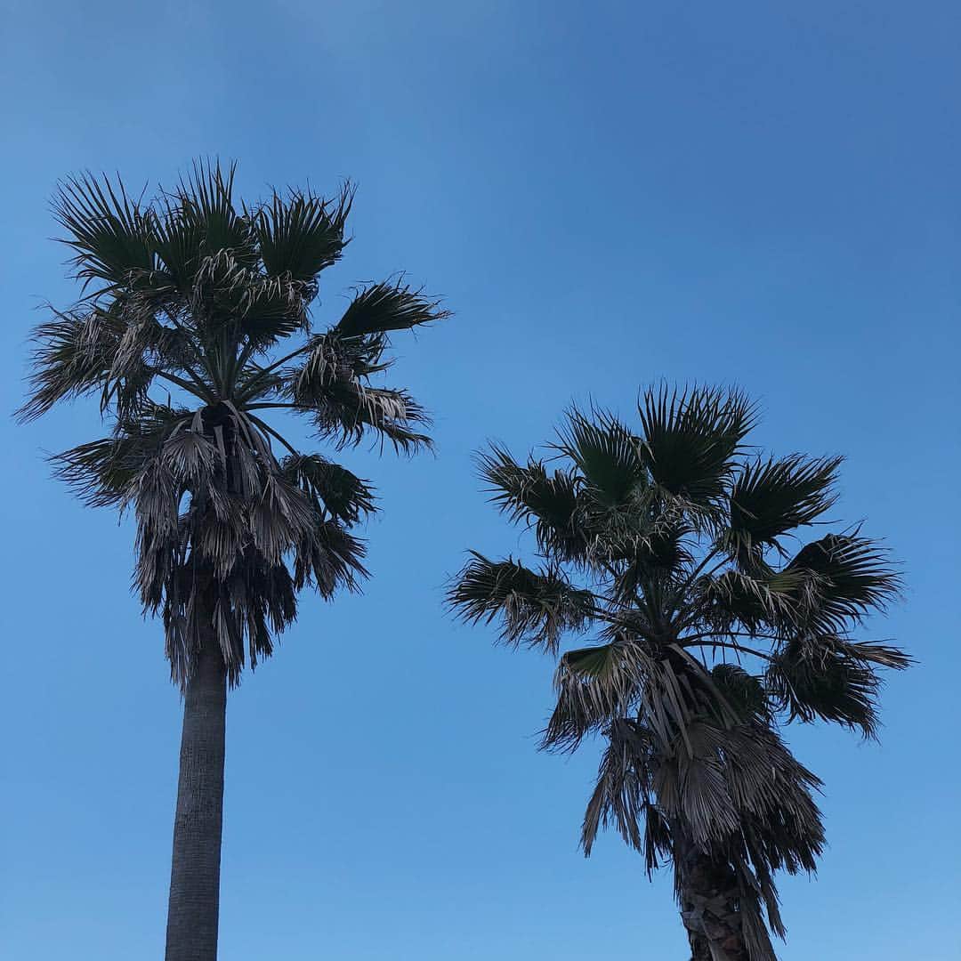 浪花ほのかのインスタグラム：「、 、 、  今日のスタジオすごく海外にいる気分になれた〜なんてことは置いといて🤭  いつも愛用させてもらってるブランドさんの撮影は本当に幸せ100だった〜 可愛い、お洋服たくさんだったので皆さんお楽しみにしててくださいませ😉  #cecilmcbee」