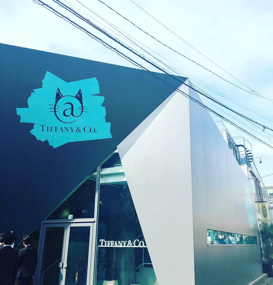 阿部洋子さんのインスタグラム写真 - (阿部洋子Instagram)「🐱 #tiffany  #catstreet  #openingceremony  #tiffanyxcatstreet  #tiffanyblue  #press  #取材 🐖 最後の写真のブタちゃんの貯金箱、 お持ち帰り～\(◡̈)/」4月18日 17時23分 - hirocoring