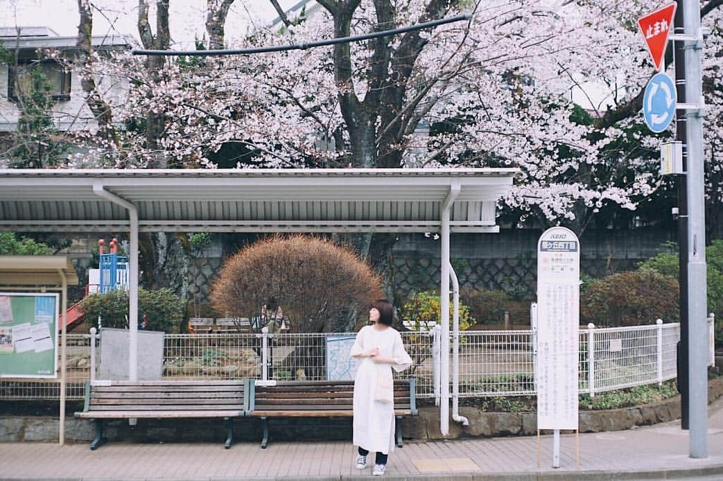 吹越ともみさんのインスタグラム写真 - (吹越ともみInstagram)「とある、春の日。 ㅤㅤㅤㅤㅤㅤㅤㅤㅤㅤㅤㅤㅤ 今日も楽しい一日になりますように🌼🌿 ㅤㅤㅤㅤㅤㅤㅤㅤㅤㅤㅤㅤㅤ ㅤㅤㅤㅤㅤㅤㅤㅤㅤㅤㅤㅤㅤ ㅤㅤㅤㅤㅤㅤㅤㅤㅤㅤㅤㅤㅤ かめら🐿(@_hikari_shot) #goodmorning #gm#photo#photography#camera#portrait#spring#📮#💌#💭」4月18日 8時55分 - fukitomo