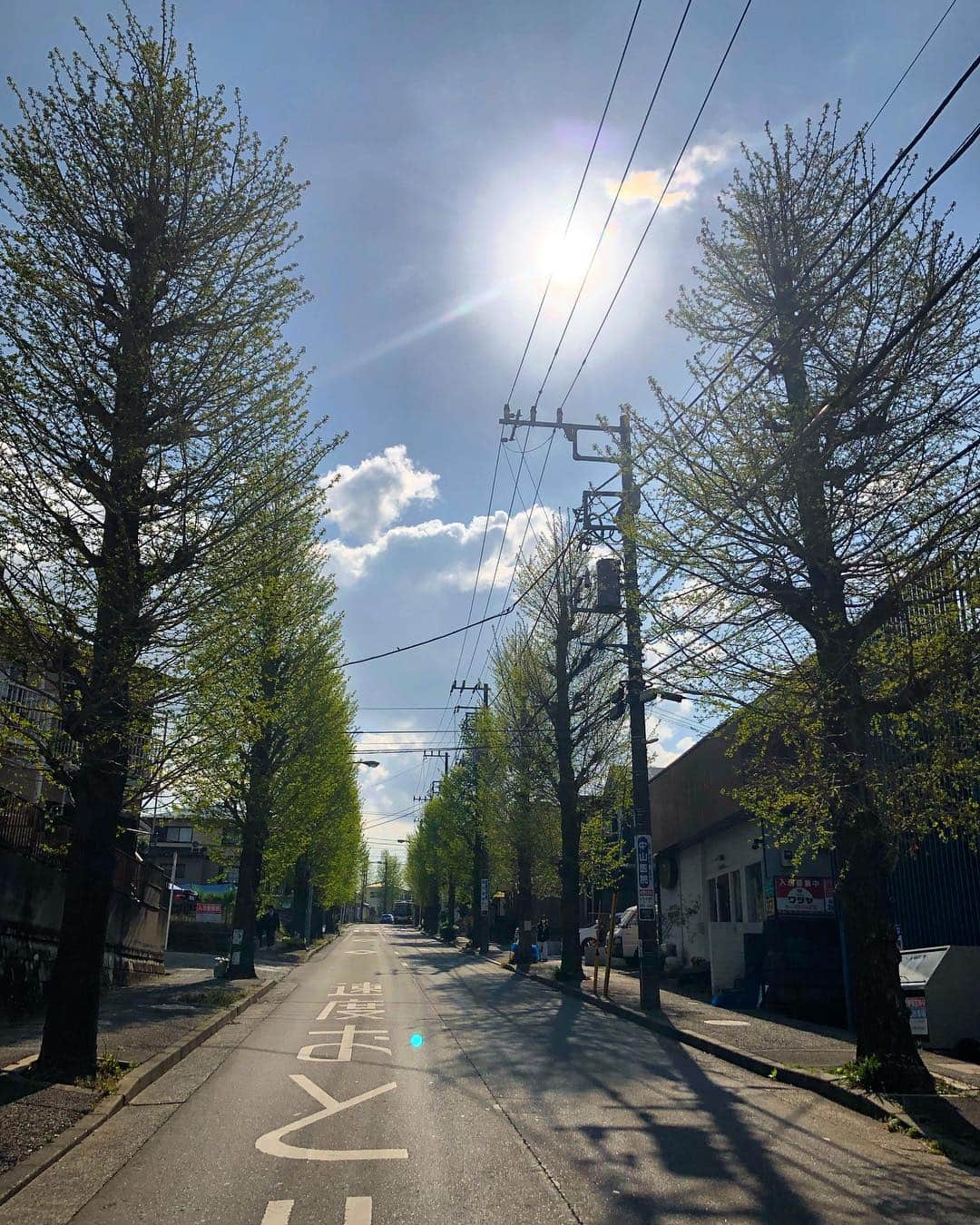 宍戸開さんのインスタグラム写真 - (宍戸開Instagram)4月18日 9時26分 - kaishishido