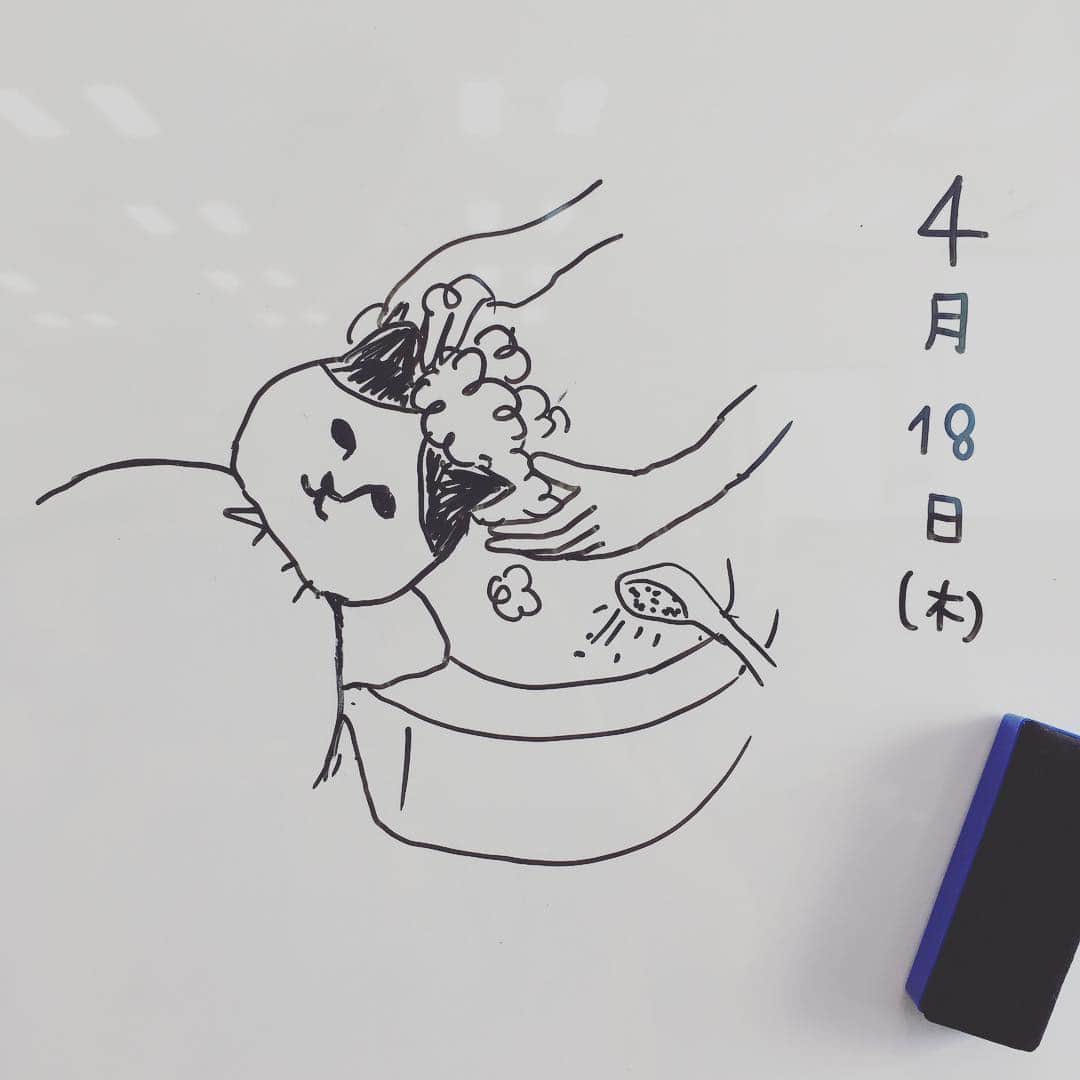 ねこさんのインスタグラム写真 - (ねこInstagram)「今日のねこ。シャンプーをしてもらうのが大好きなねこ💈 #neko_magazine #ねこ #猫 #ネコ #catstagram #cat #ねこマガジン #NEKONOBA」4月18日 9時43分 - neko_magazine