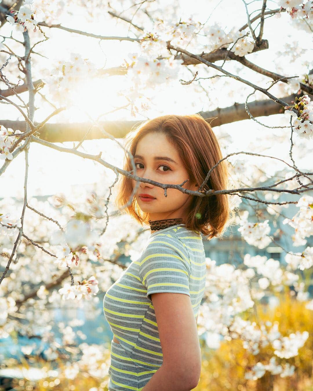 チアコマさんのインスタグラム写真 - (チアコマInstagram)「. . #sakura ! 前もUPしたけど、この服はめちゃお気に入りワンピ♡  #hep で購入したワンピ👗 タイトやからカジュアルすぎない🧚🏼‍♀️🧝‍♀️❤️ ➡︎ #bershka だよ〜〜 . . #chiakoma #street #photoshooting #portrait #fashion #outfit #ヘップ #hepfive #ベルシュカ #outfit #ss #spring #makeup」4月18日 10時14分 - chia_koma