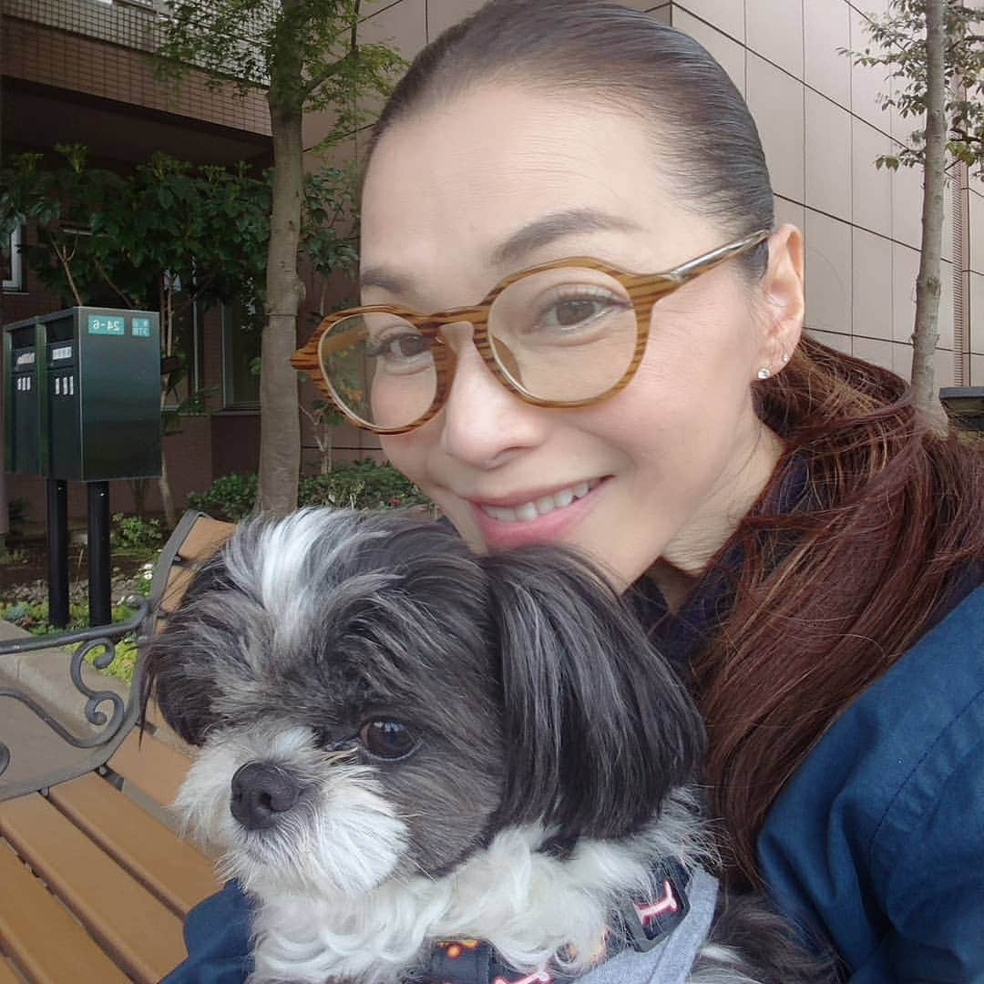 渡辺めぐみさんのインスタグラム写真 - (渡辺めぐみInstagram)「ワールドワンの大島さんが、慰問活動して10年だそうです😁⤴️⤴️⤴️ 毎月１度、ひがしやまホームにお邪魔させていただいてます😁⤴️⤴️⤴️ 今月のメンバーは、ネコのミート・プードルのポップとモコ・そして、パンダでした👍👍👍👍 皆さんと、30分ほど遊んで、また、来月の約束をしてお別れです😊❤️ また、来月お邪魔します👍👍👍 #セラピー犬 #慰問活動 #チワワ#シーズー#プードル#ミックス犬 #chihuahua#shihtzu #mix犬 #散歩 #instagramjapan #instagramdog #instagramlike #instagramgood」4月18日 10時23分 - meguheart