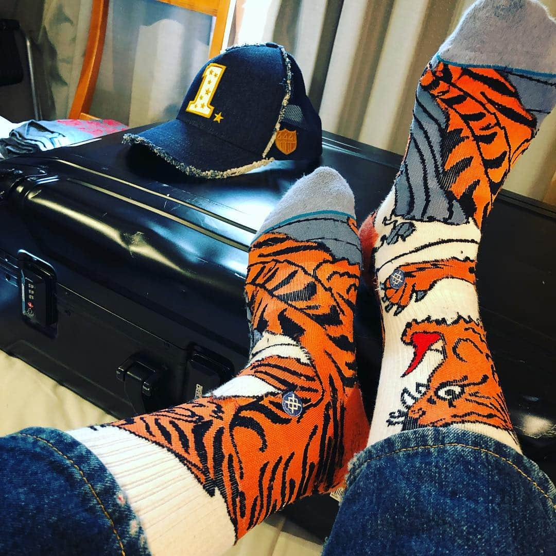 鈴木みのるさんのインスタグラム写真 - (鈴木みのるInstagram)「Today's STANCE  #stancesocks  #stance_japan  #tiger 新しい朝が来た。何があっても時間は経つし朝は来る。その日を精一杯生きなければ。決して焦らず確実に一歩づつ。なりたい自分になる為に。」4月18日 11時16分 - suzuki.d.minoru